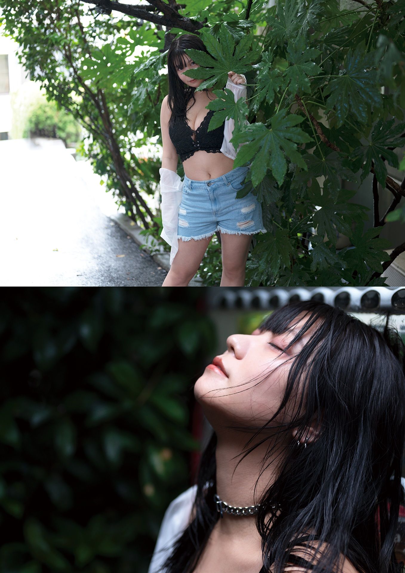 大葉めも - ラストメモリー/(87P)