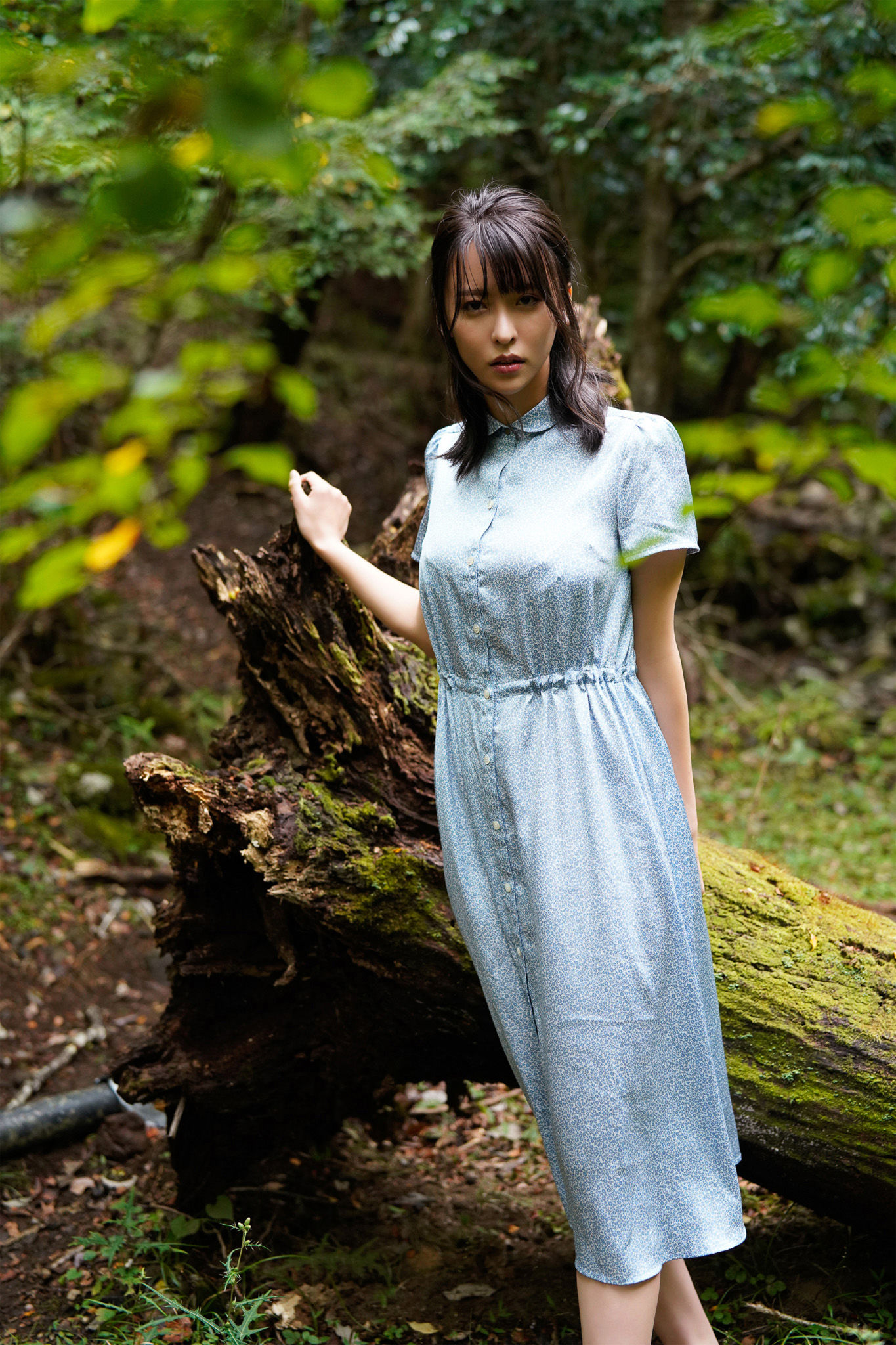 奈月セナ - たまゆら 花鳥風月/(110P)