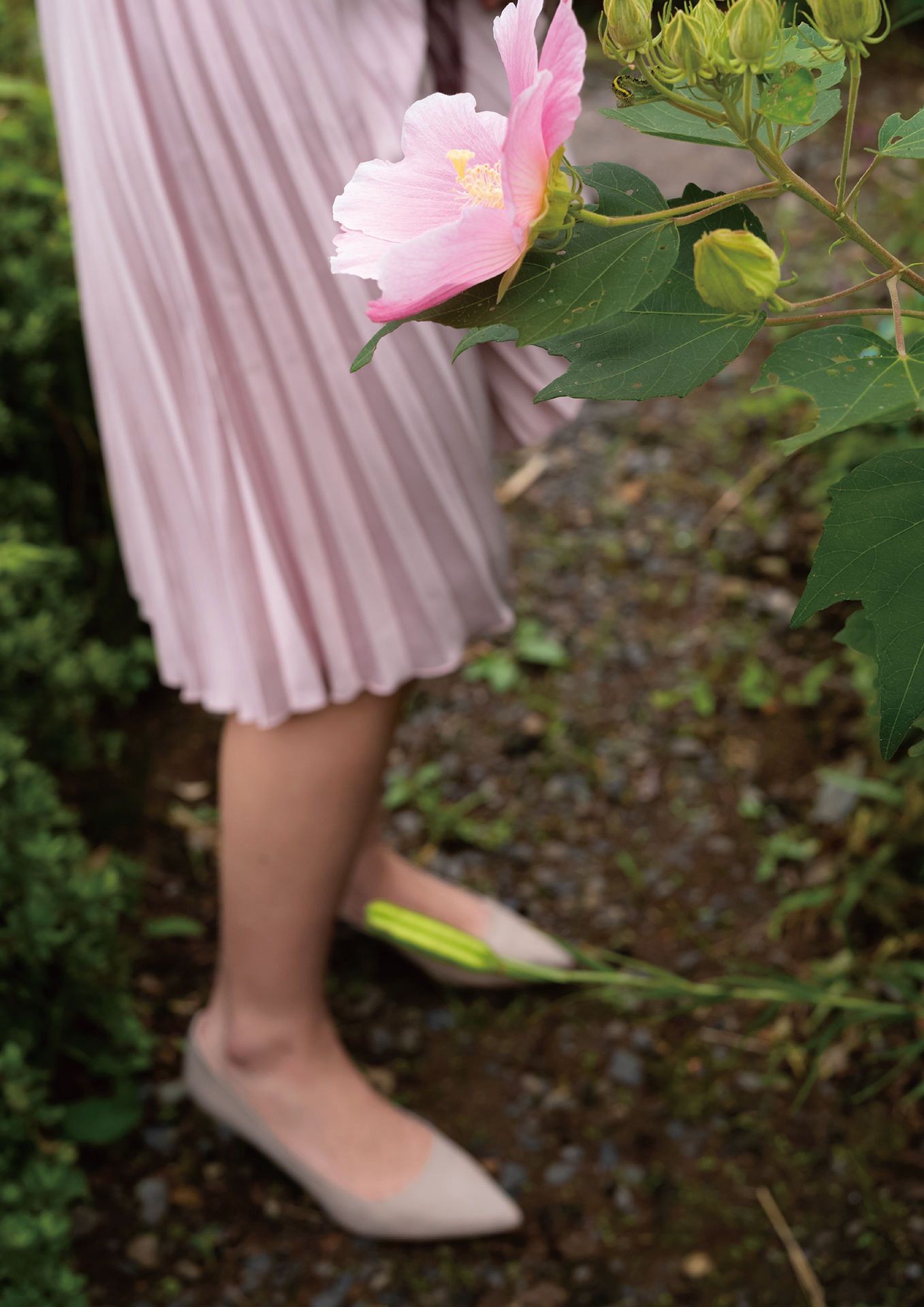 奈月セナ - たまゆら/(109P)