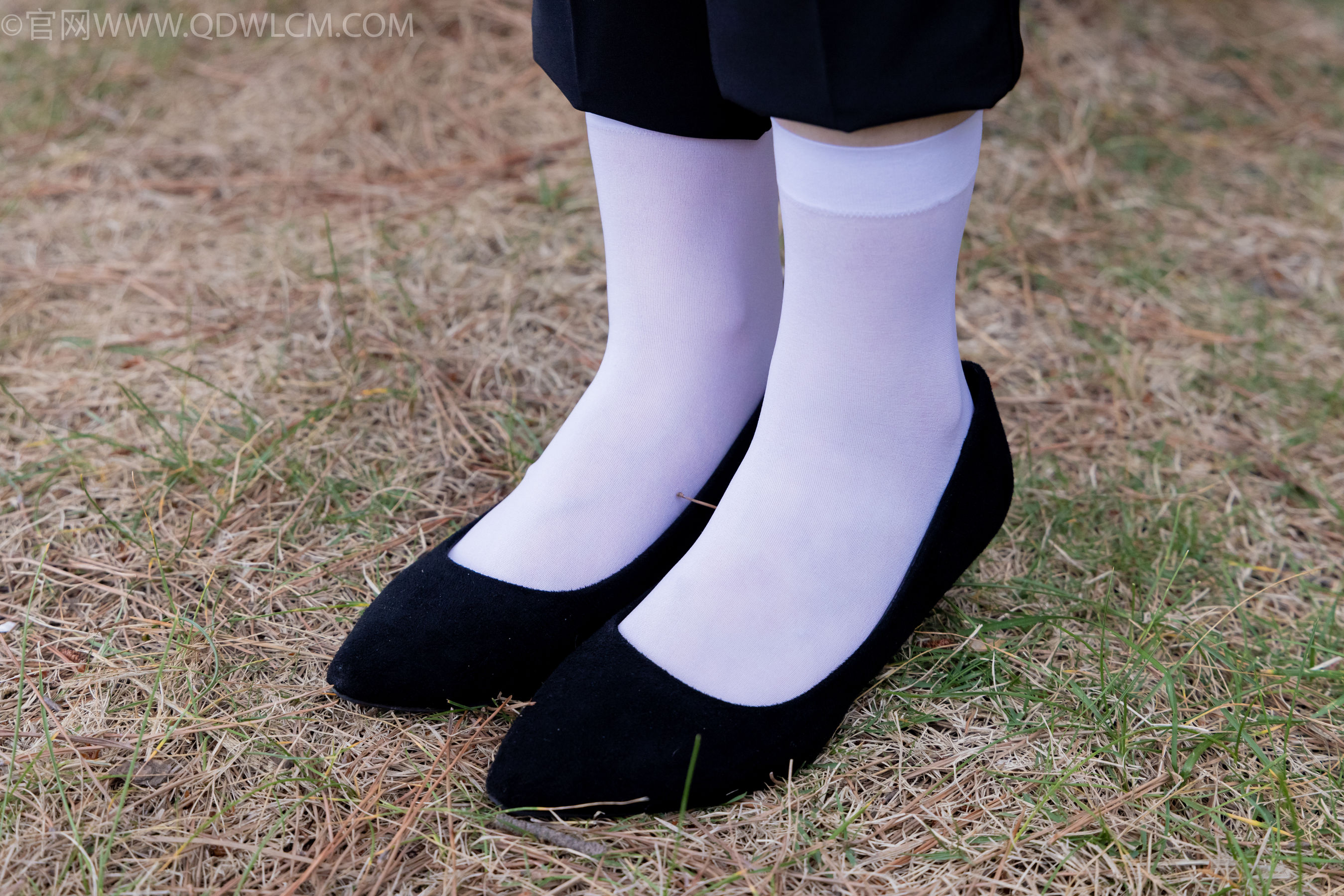 物恋传媒 No.2337 小酒 - 高跟鞋、短黑丝、短白丝/(315P)