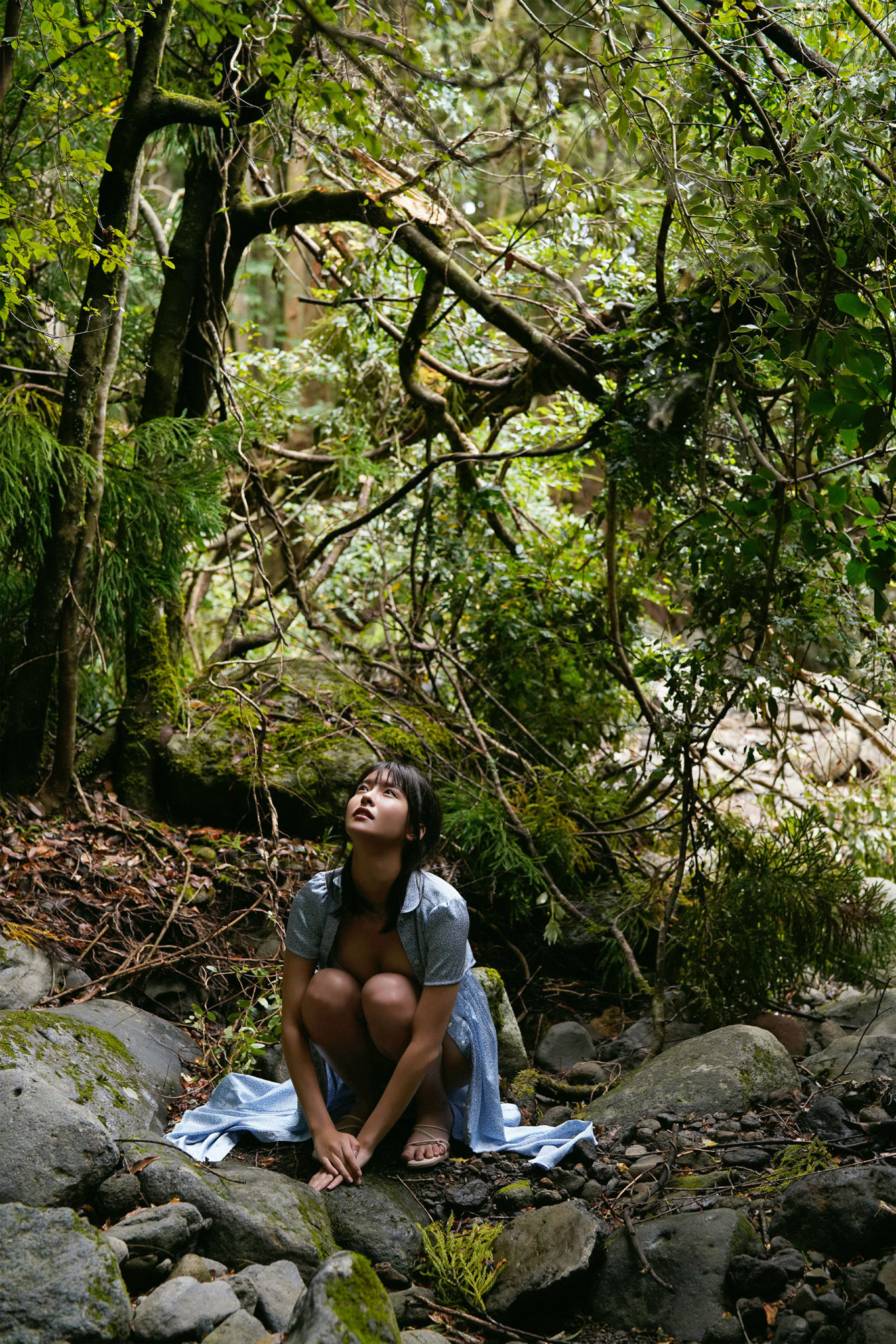 奈月セナ - たまゆら 花鳥風月/(110P)