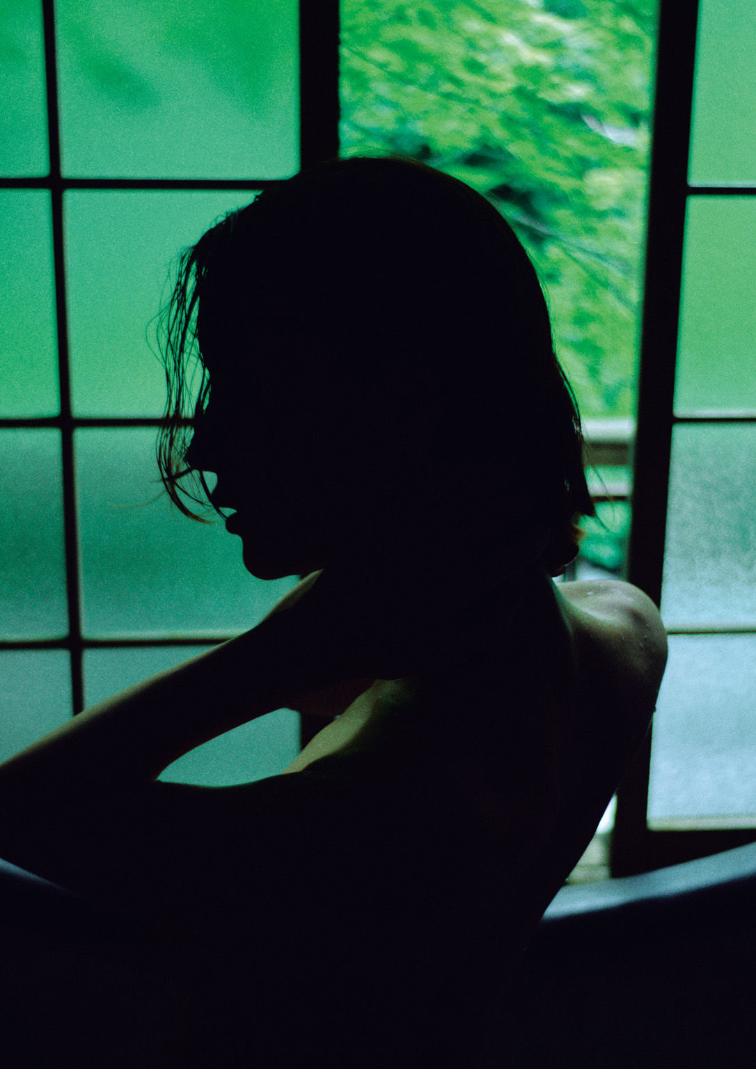 奈月セナ - SILK of the MOON/(91P)