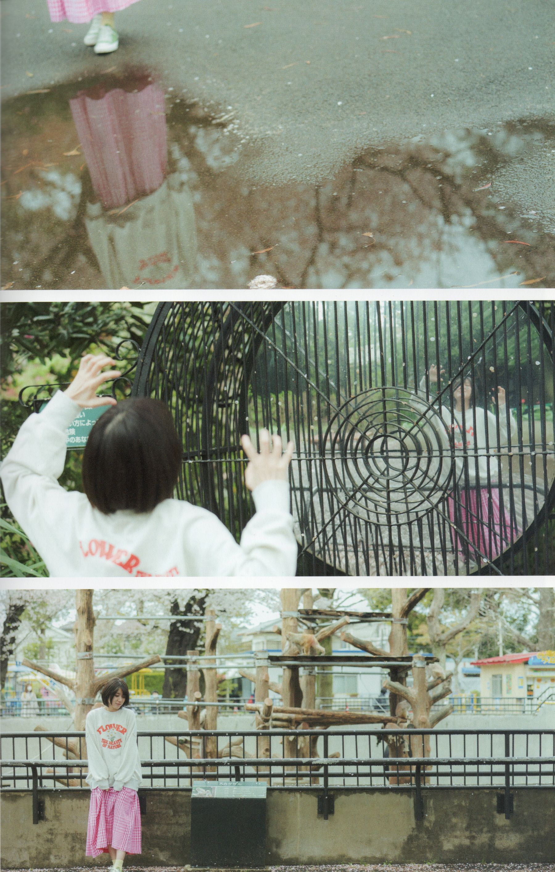 大西桃香 - 桃の眺め方/(119P)