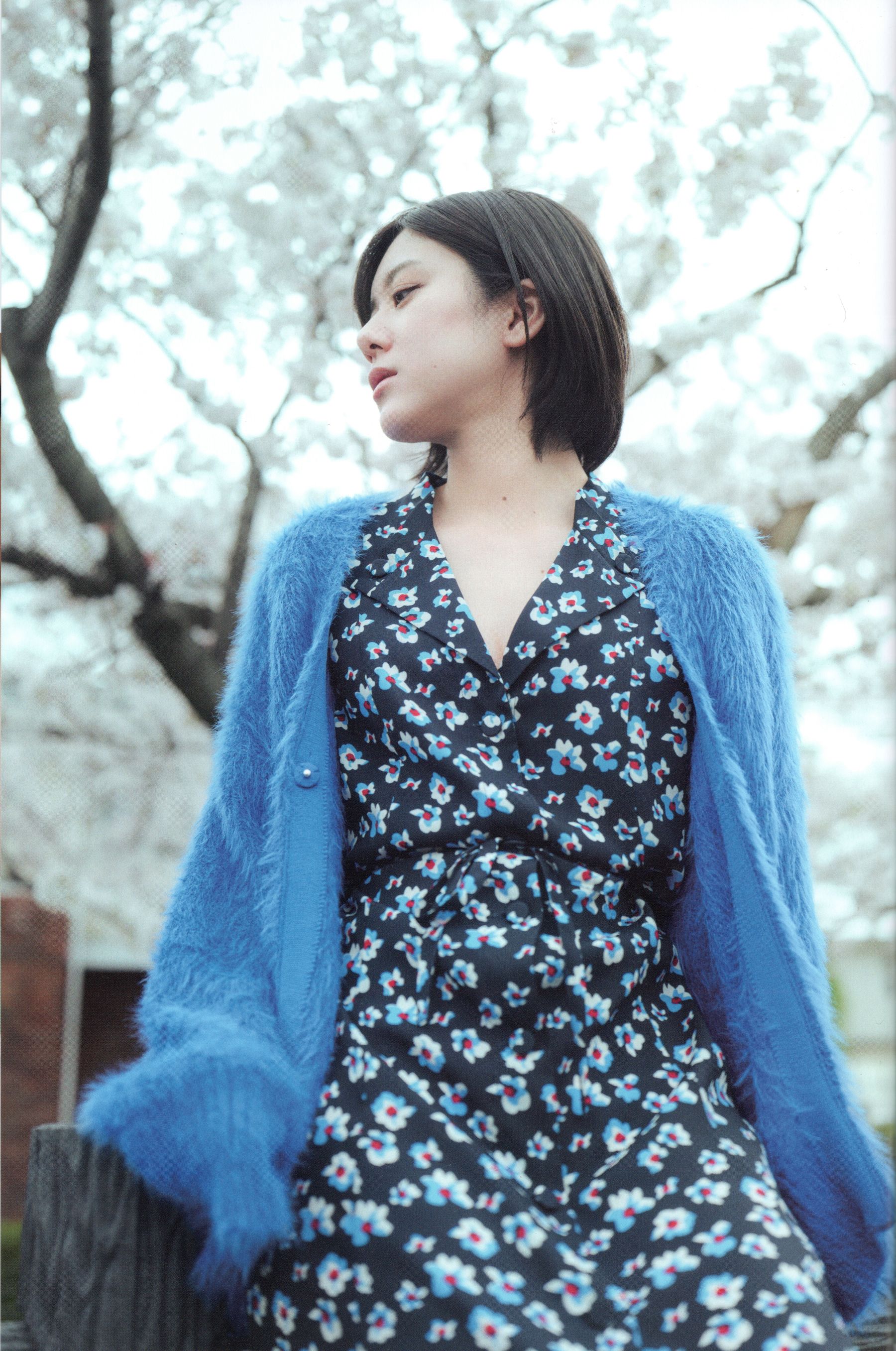 大西桃香 - 桃の眺め方/(119P)