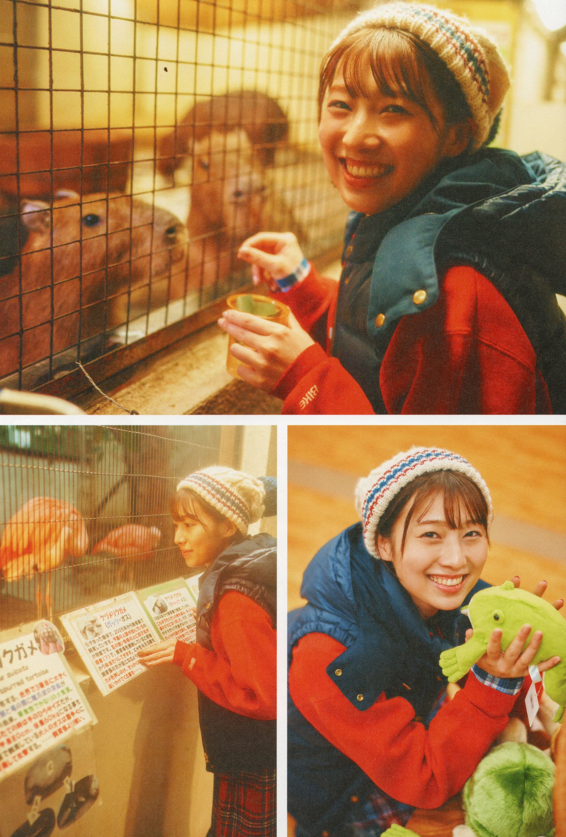 安部若菜 - 愛される予感/(138P)