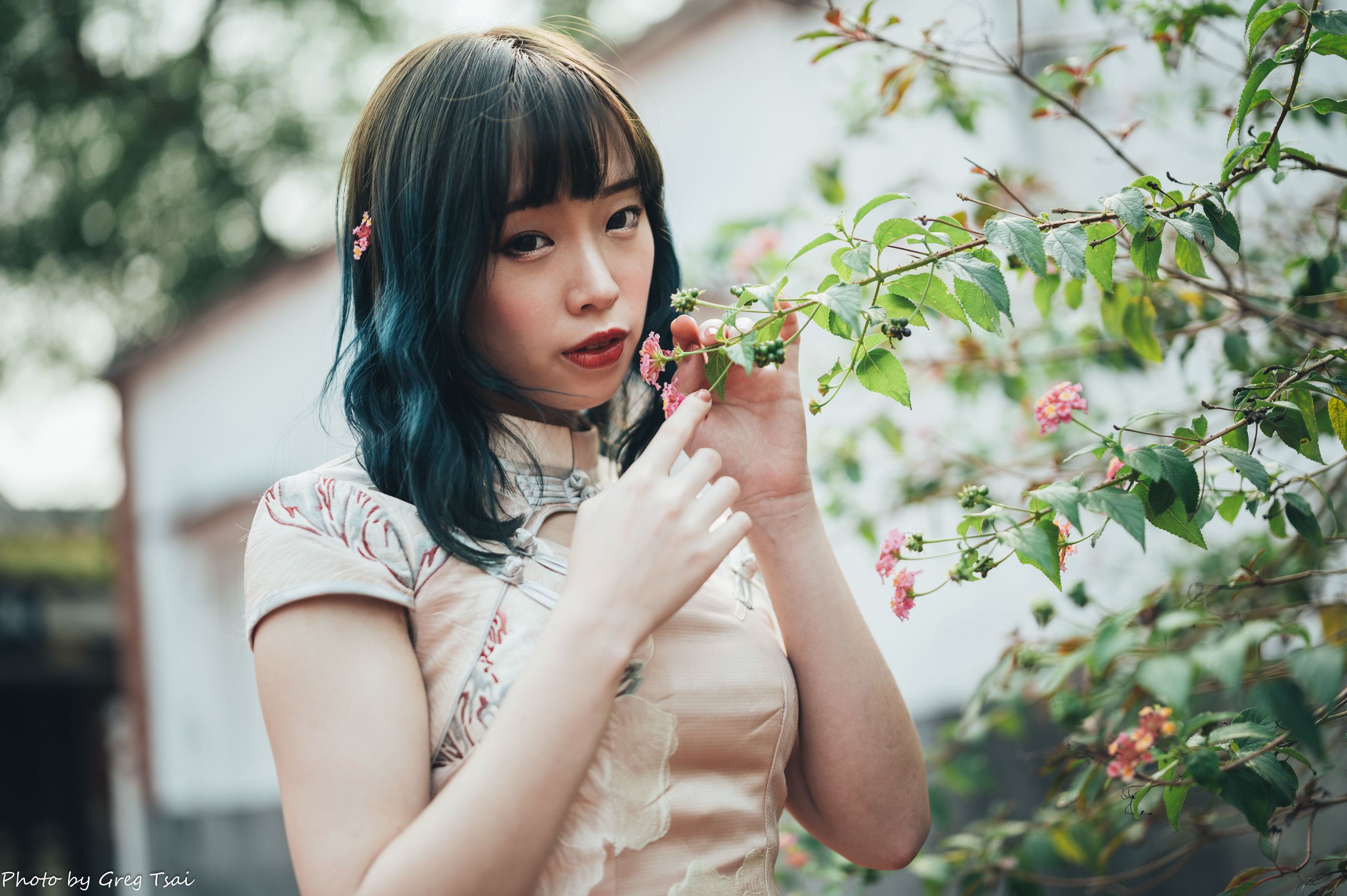 娃娃 - 旗袍/(108P)