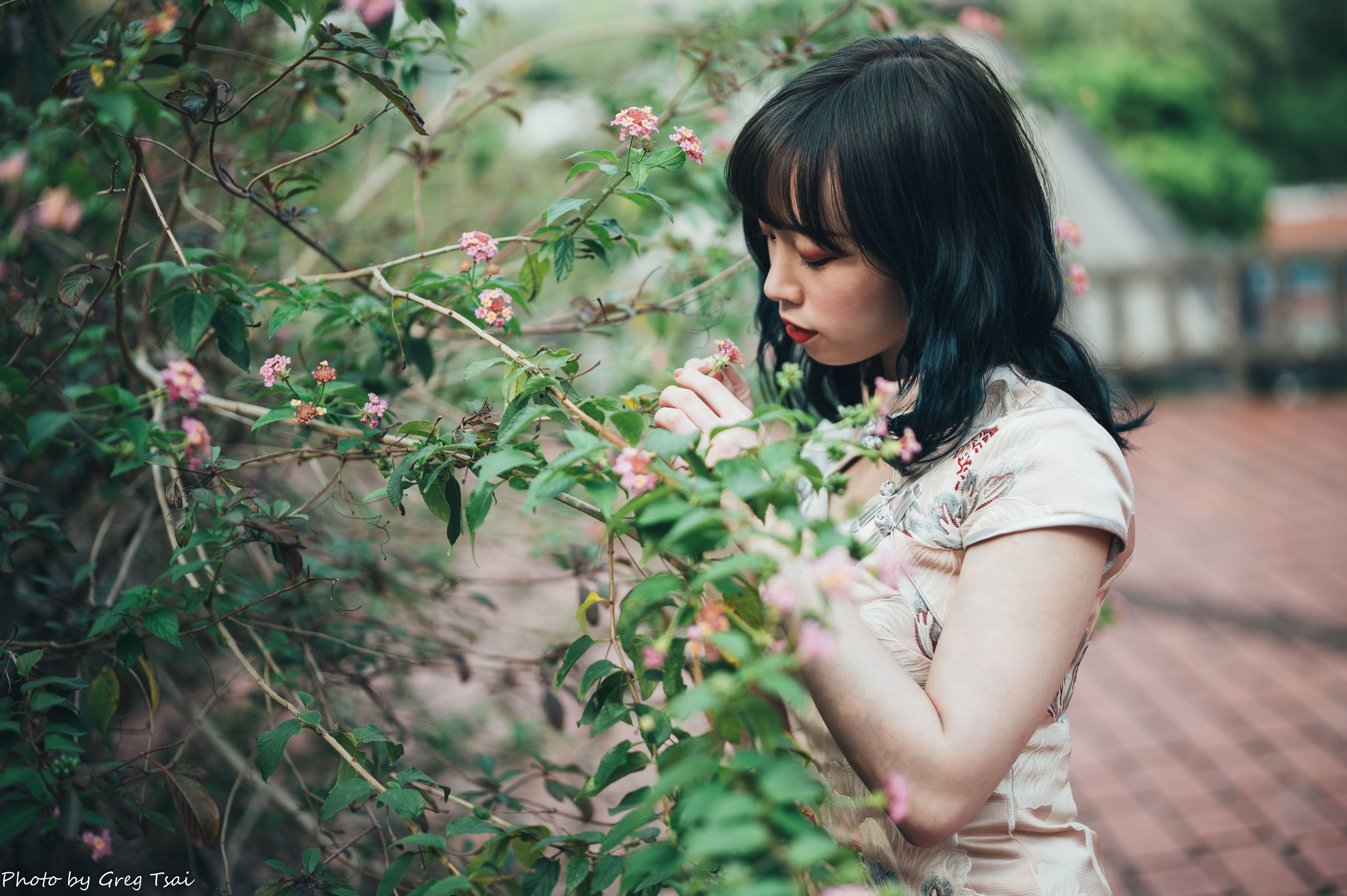 娃娃 - 旗袍/(108P)