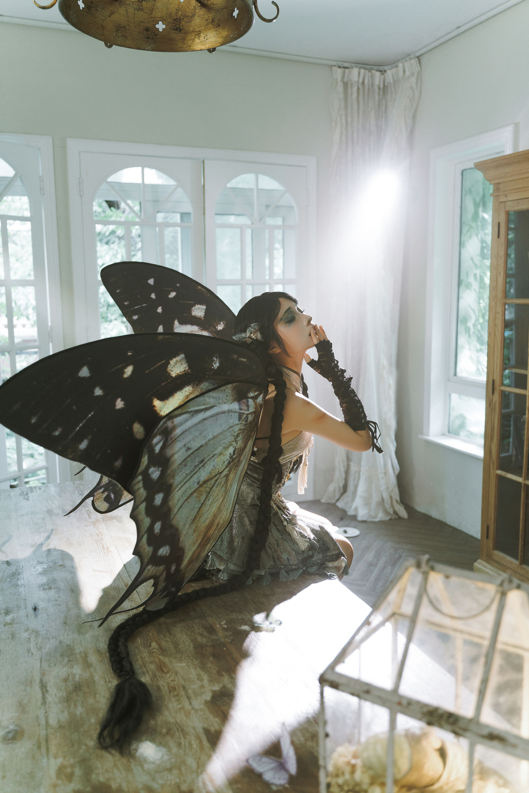 动漫博主蠢沫沫 - 枯叶蝶/(58P)