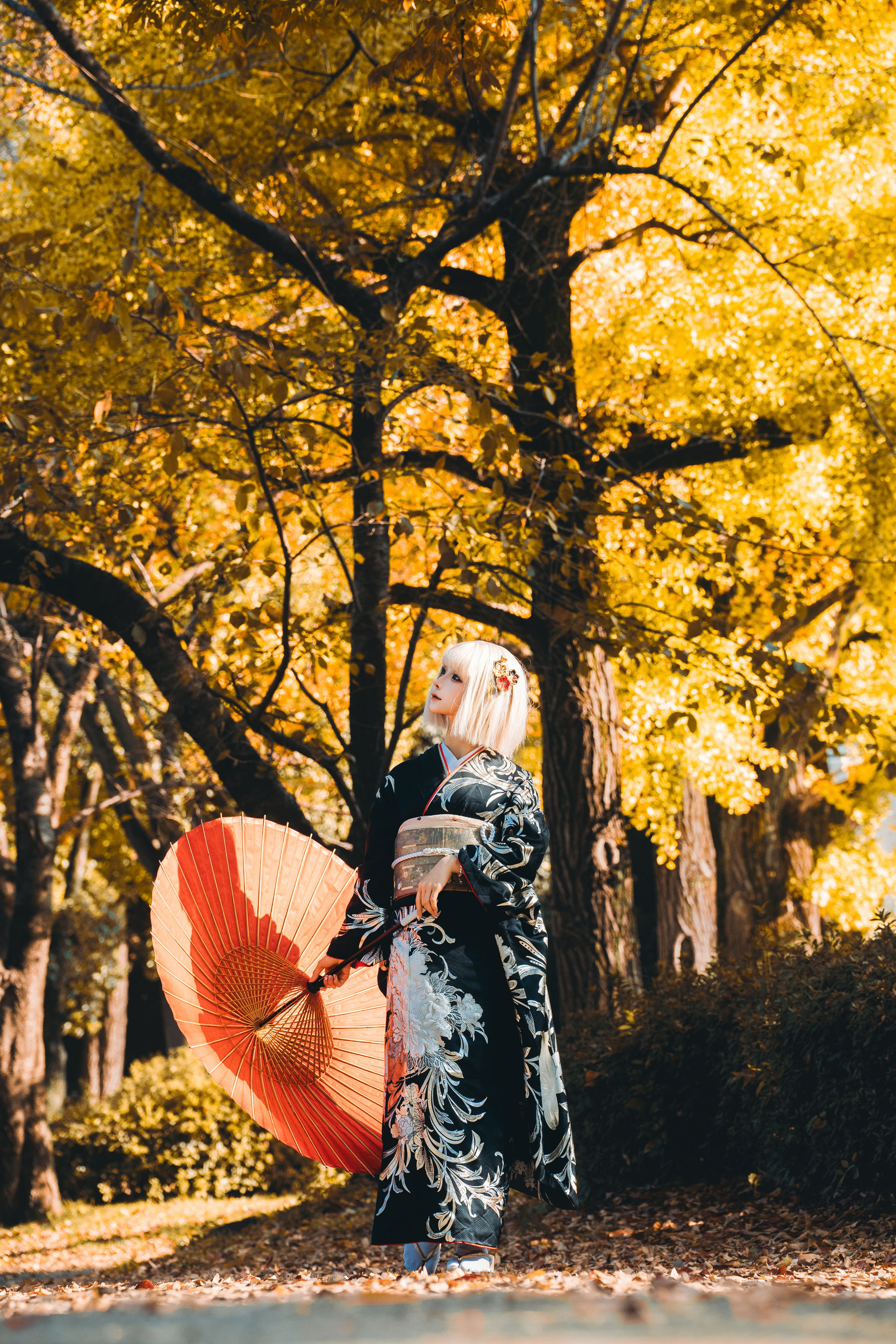 动漫博主蠢沫沫 - 秋寻(下）/(285P)