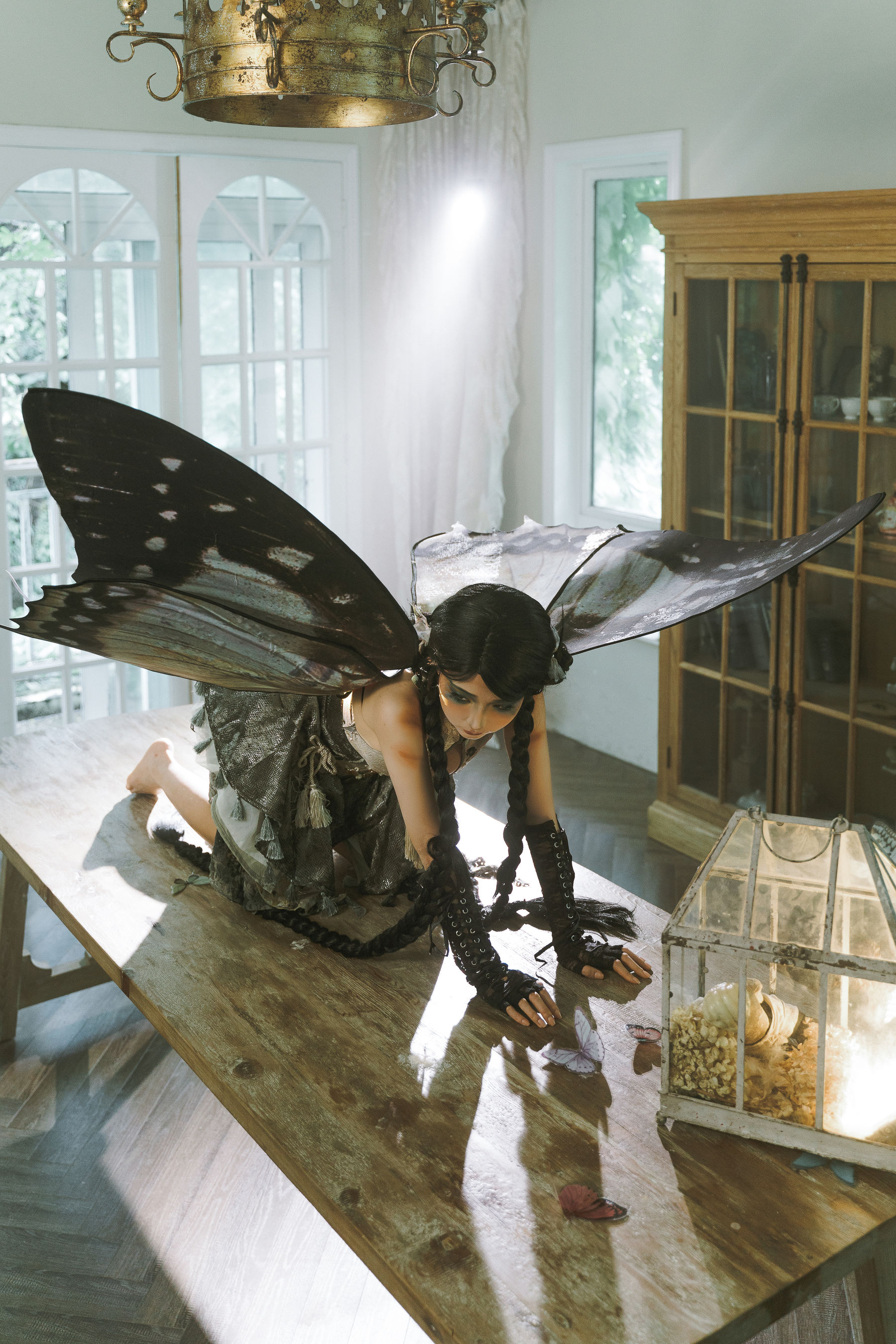 动漫博主蠢沫沫 - 枯叶蝶/(58P)