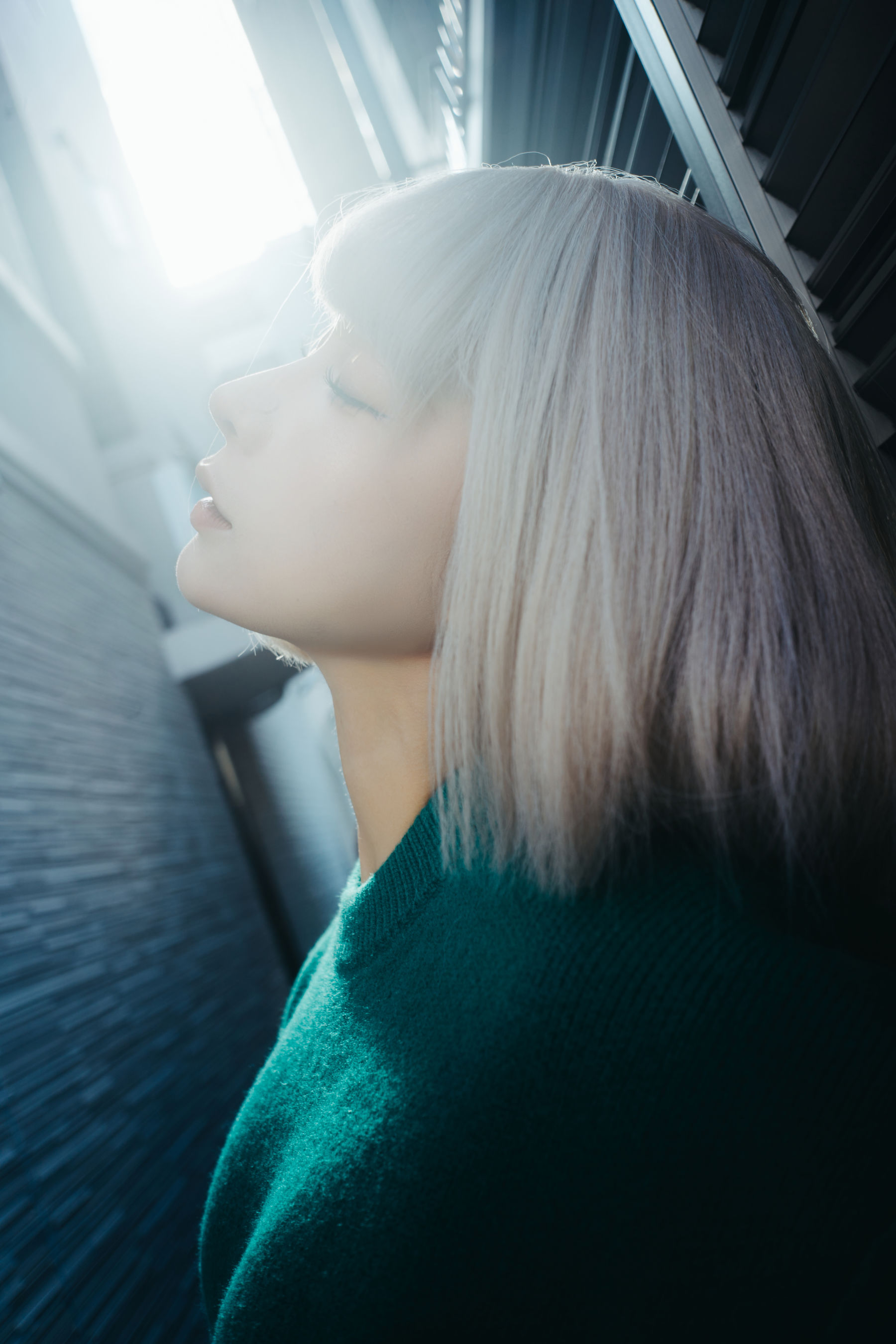 动漫博主蠢沫沫 - 秋寻(上）/(280P)