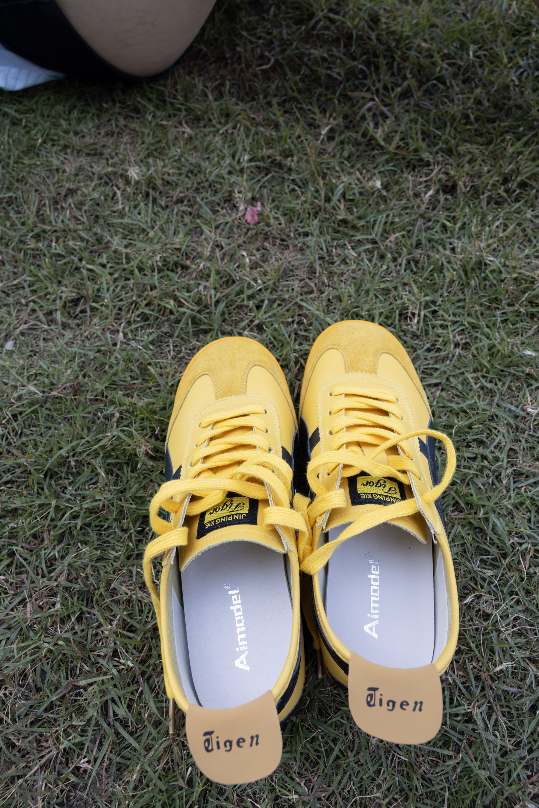 她们印象 No.014 金麦/(121P)