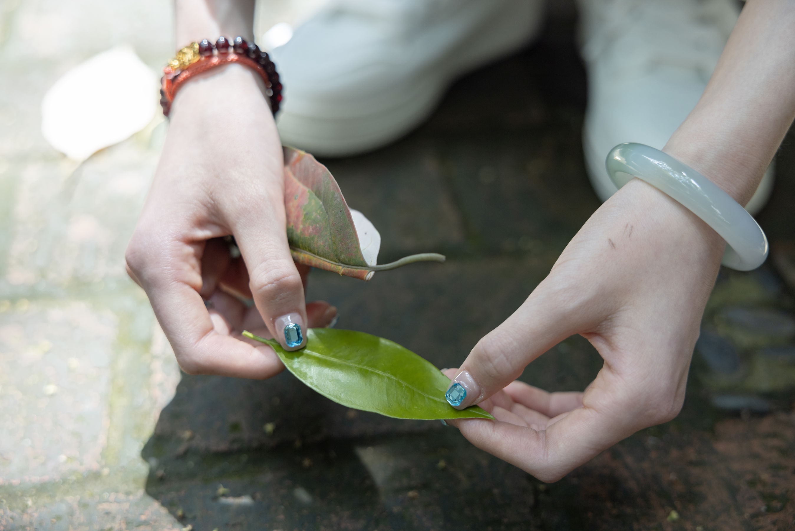 她们印象 No.012 南希/(231P)