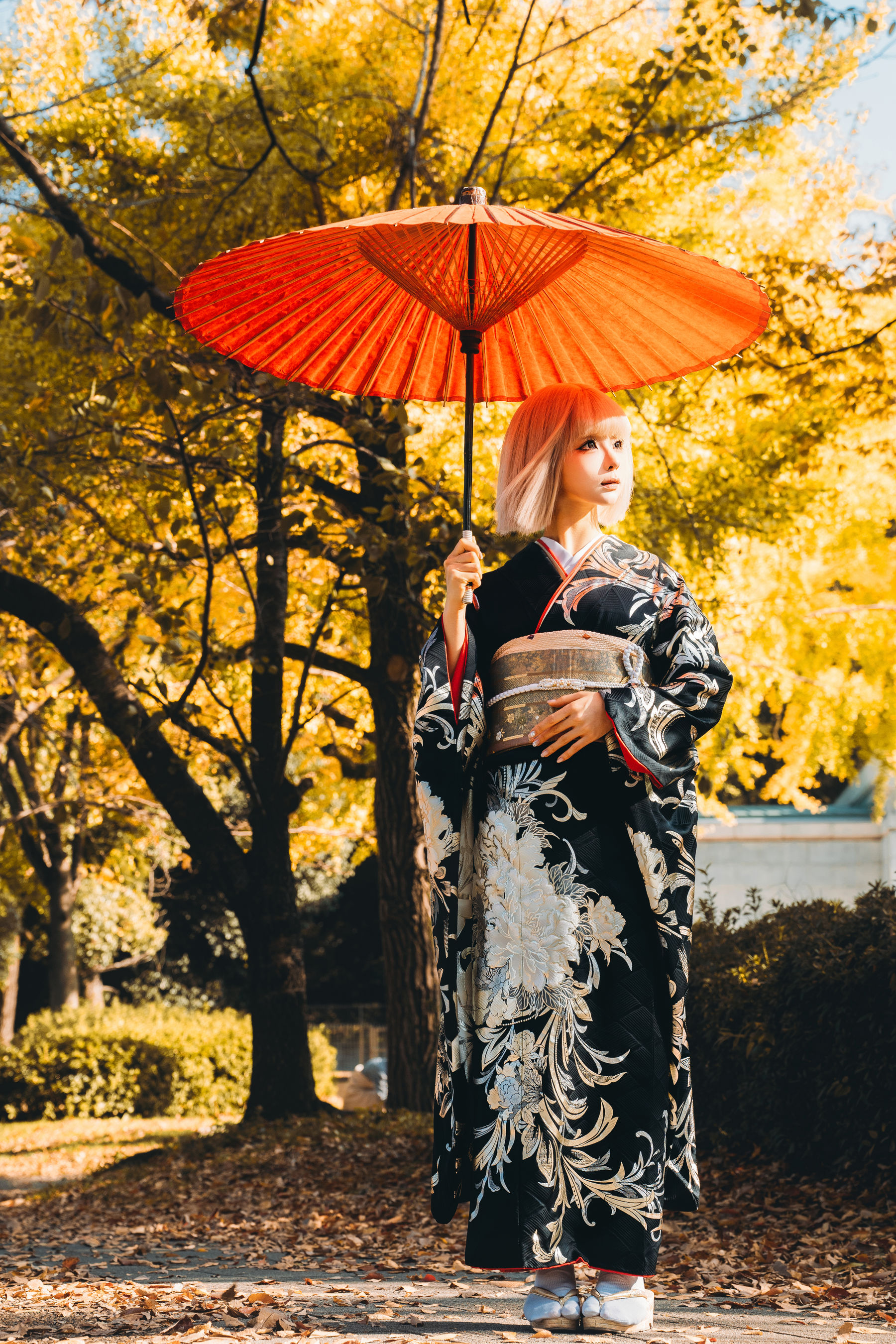 动漫博主蠢沫沫 - 秋寻(下）/(285P)