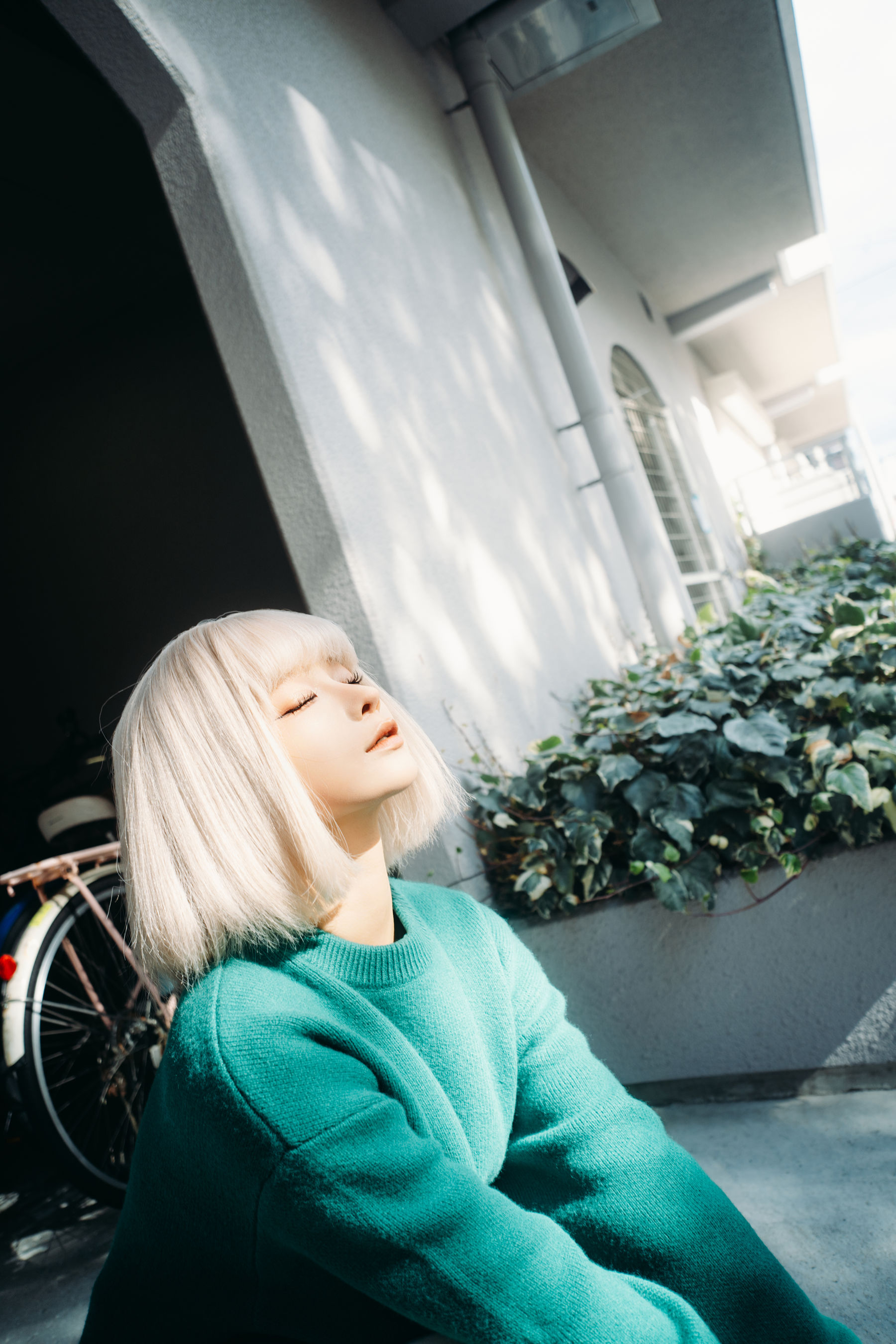 动漫博主蠢沫沫 - 秋寻(上）/(280P)