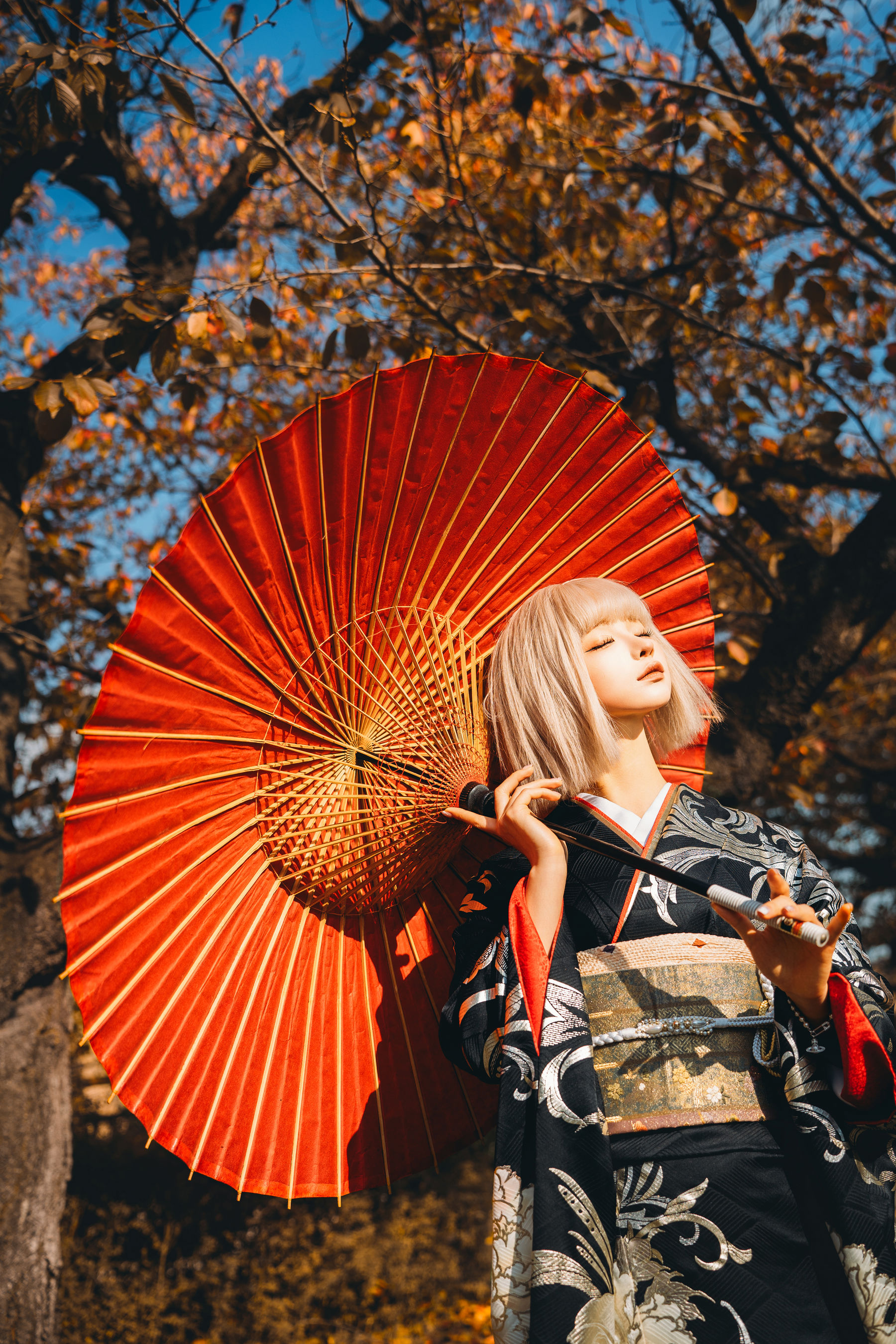 动漫博主蠢沫沫 - 秋寻(下）/(285P)