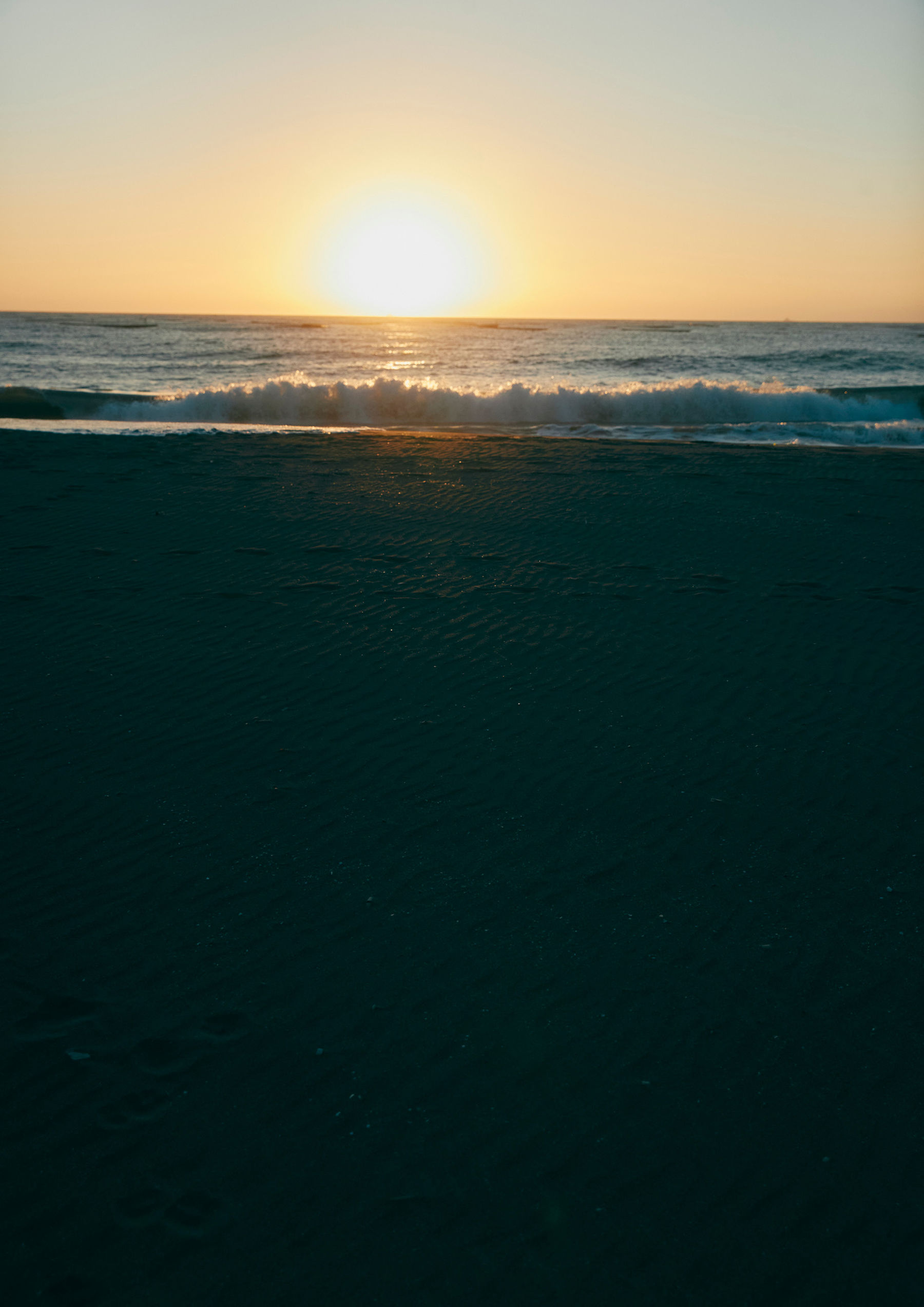 横野すみれ - 続 No One/(144P)