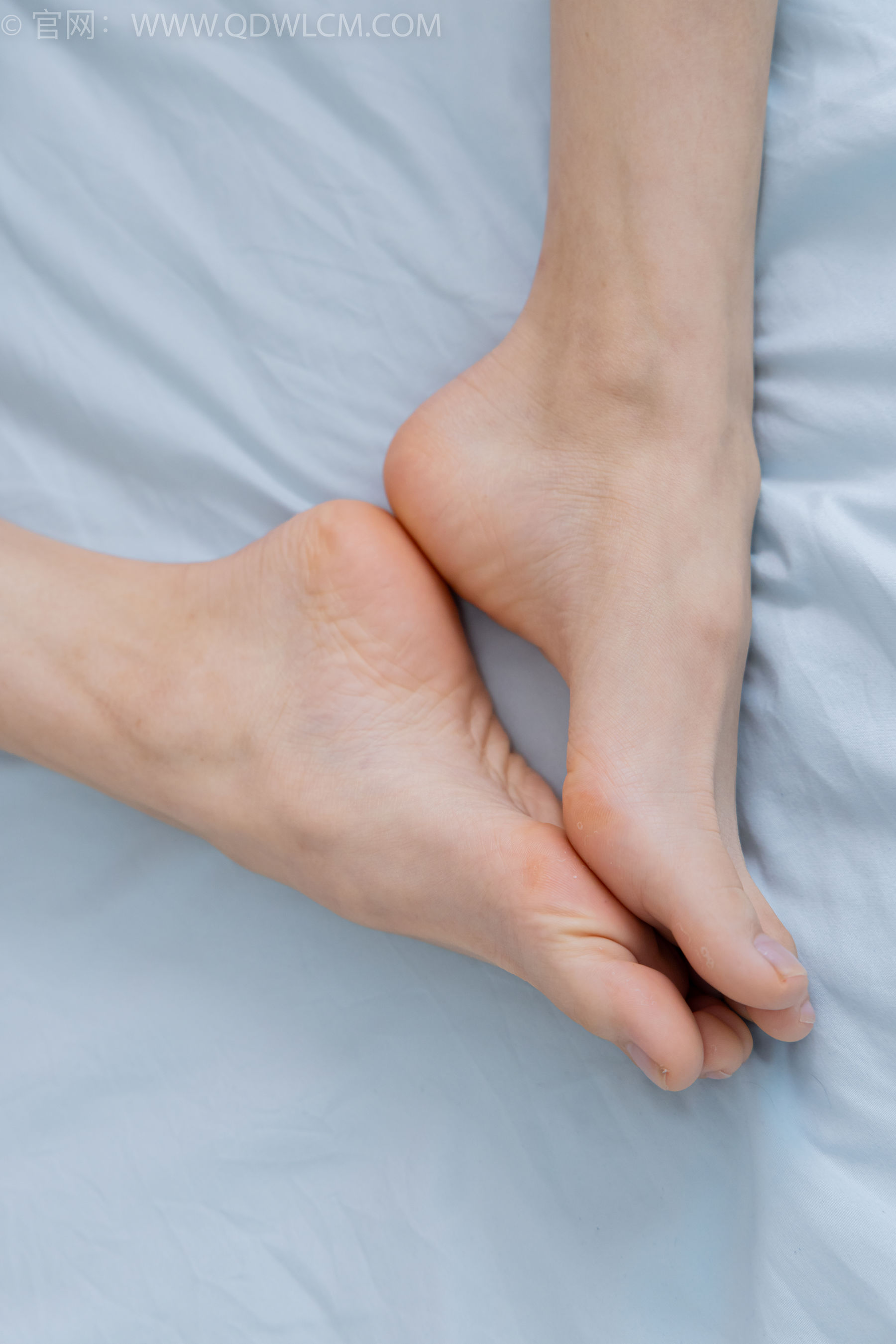 物恋传媒 No.2381 茯苓 - 板鞋、短肉丝、裸足/(195P)