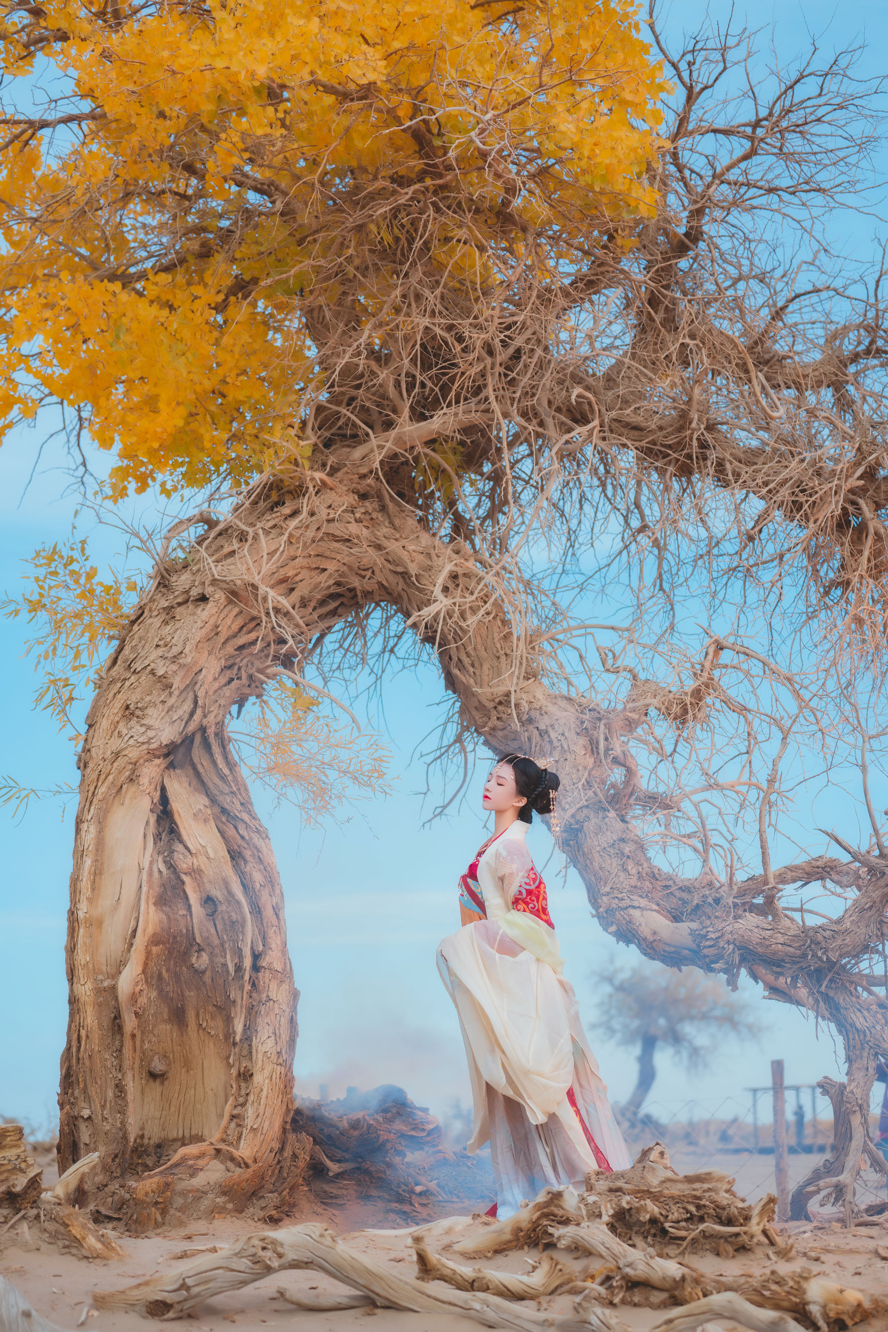 桜桃喵 - 惊鸿/(15P)