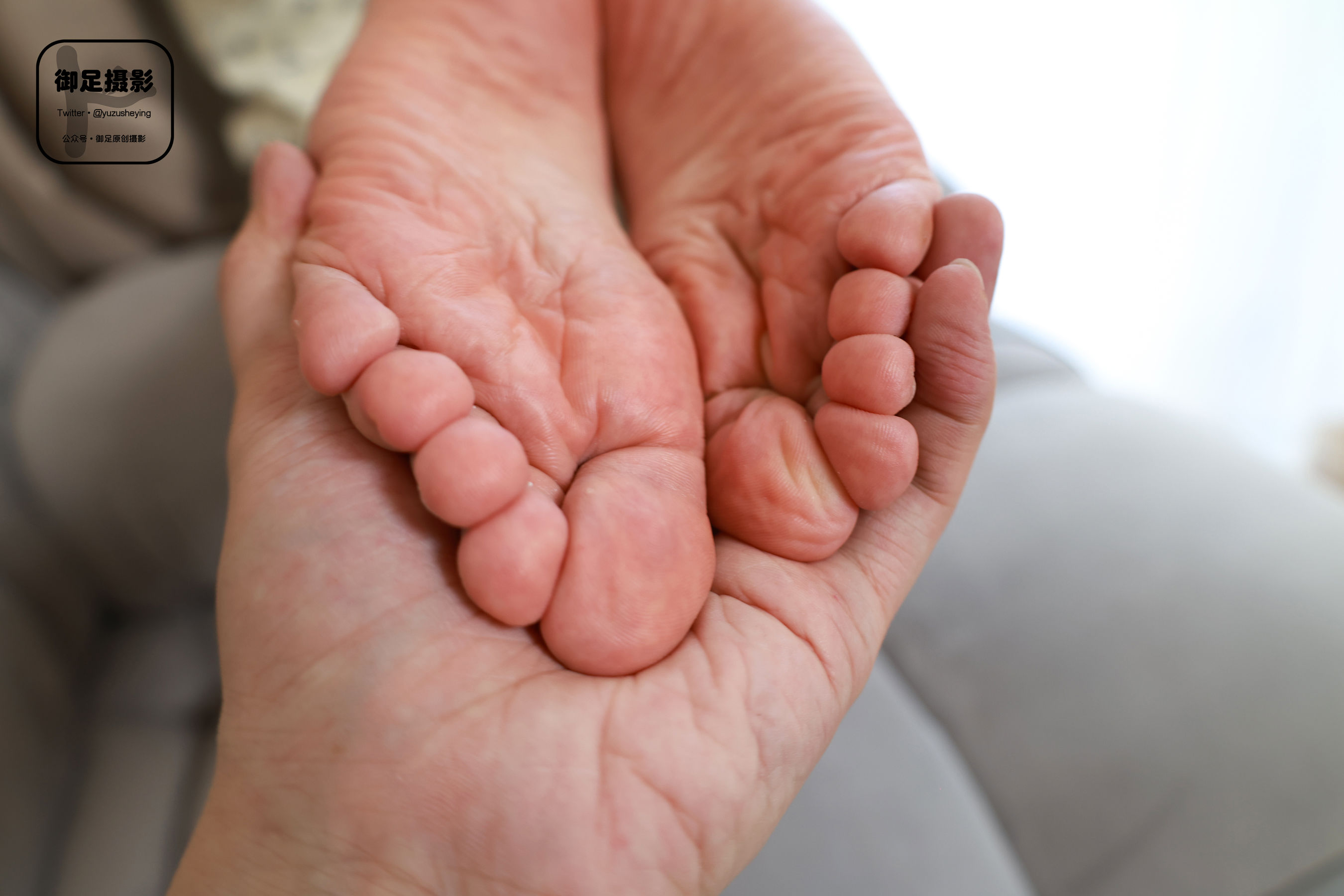 御足摄影 - 元气满满/(115P)