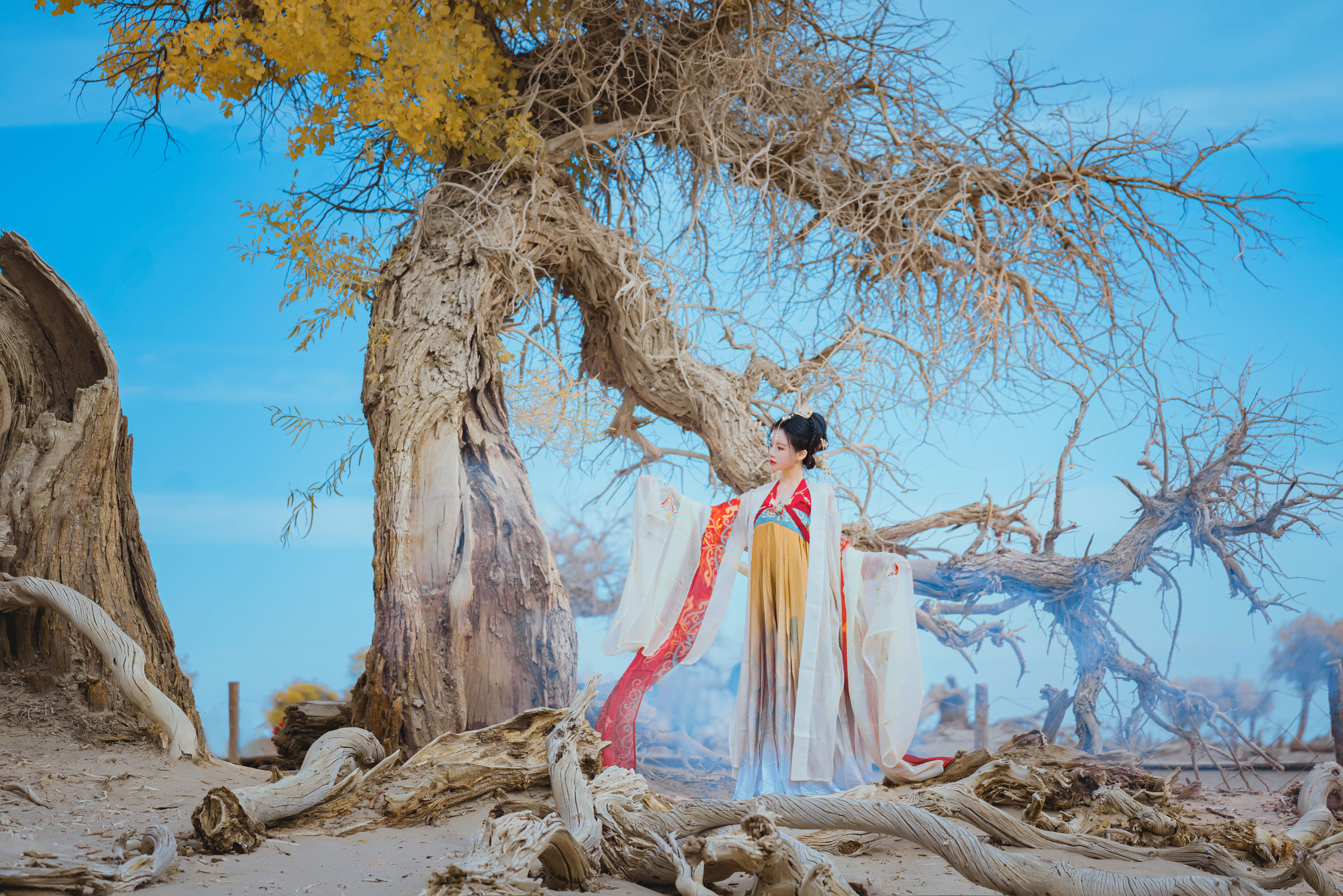 桜桃喵 - 惊鸿/(15P)