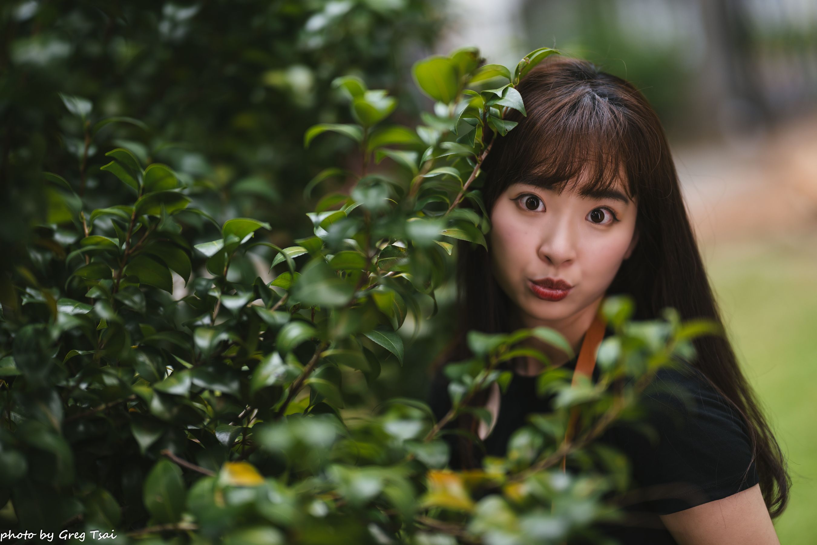 欣恩 - 台大社科院/(72P)