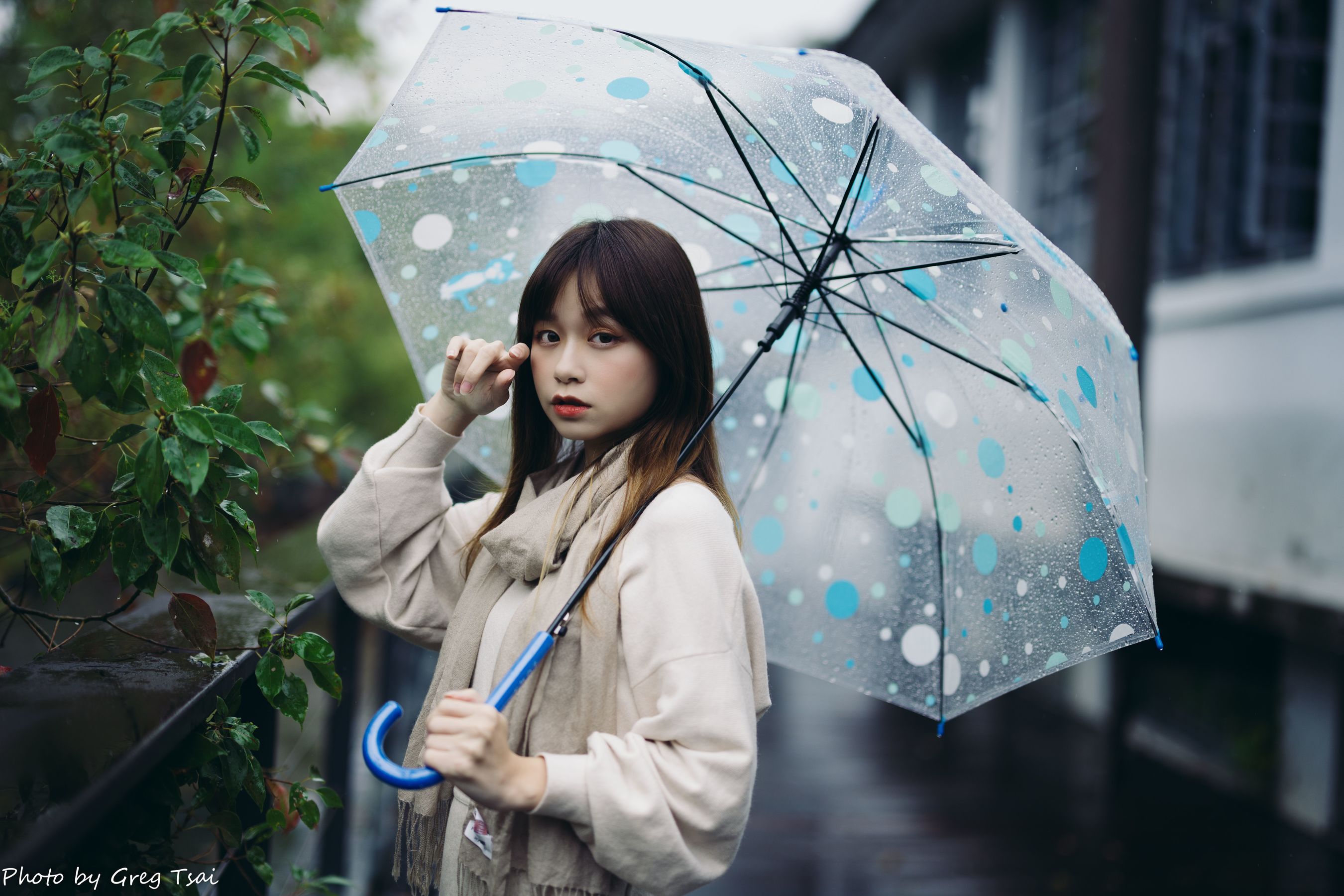 畊畊 - 茶厂/(143P)