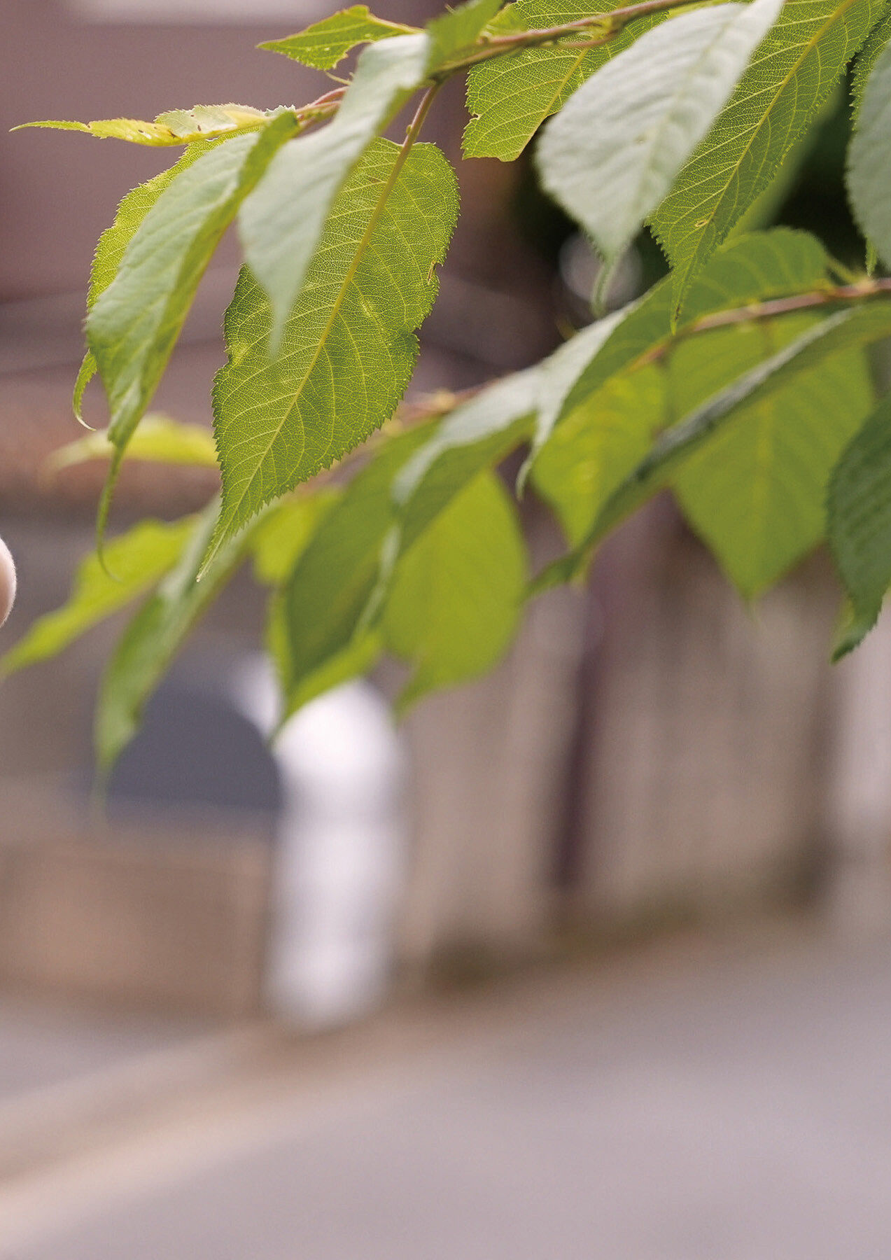 白濱美兎 - 忘れられない恋の味/(60P)