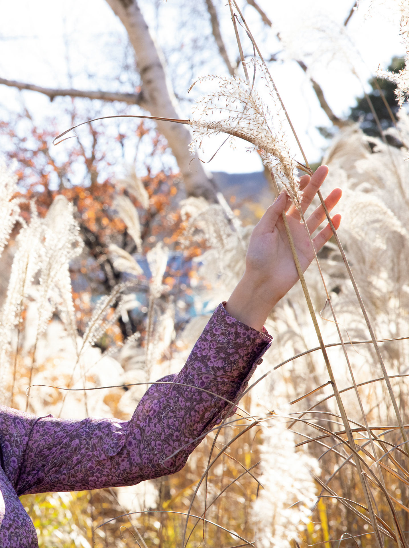 街山みほ - Scarlet/(55P)