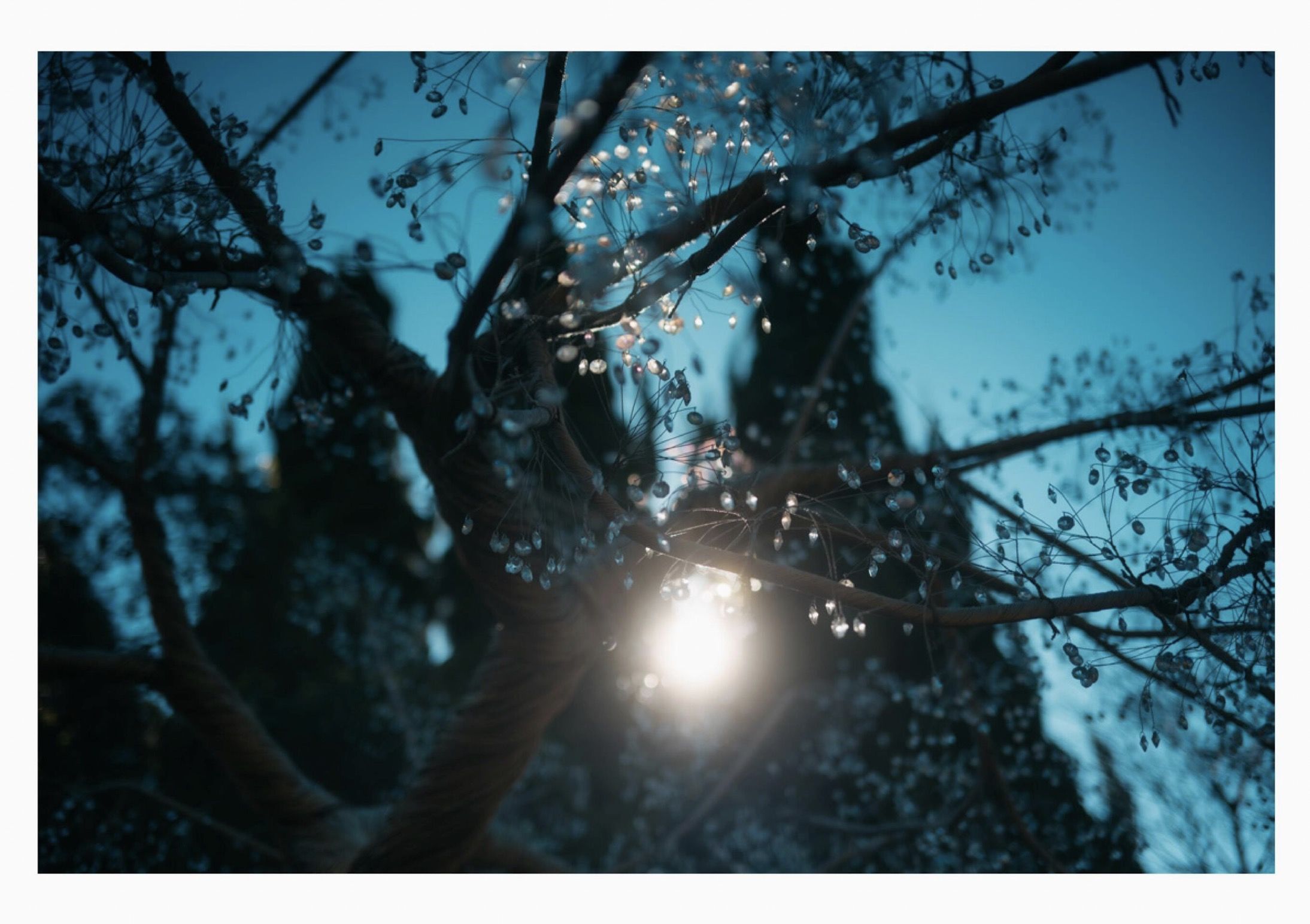 芽衣 - 芽ばえちゃう/(238P)