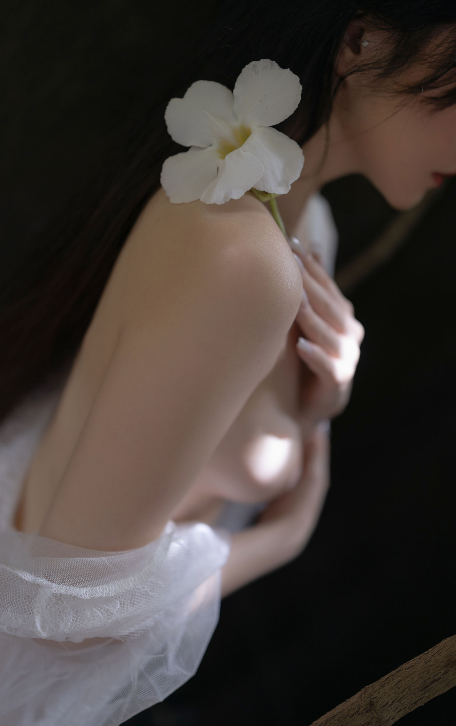 鱼子酱 - 夕颜/(120P)