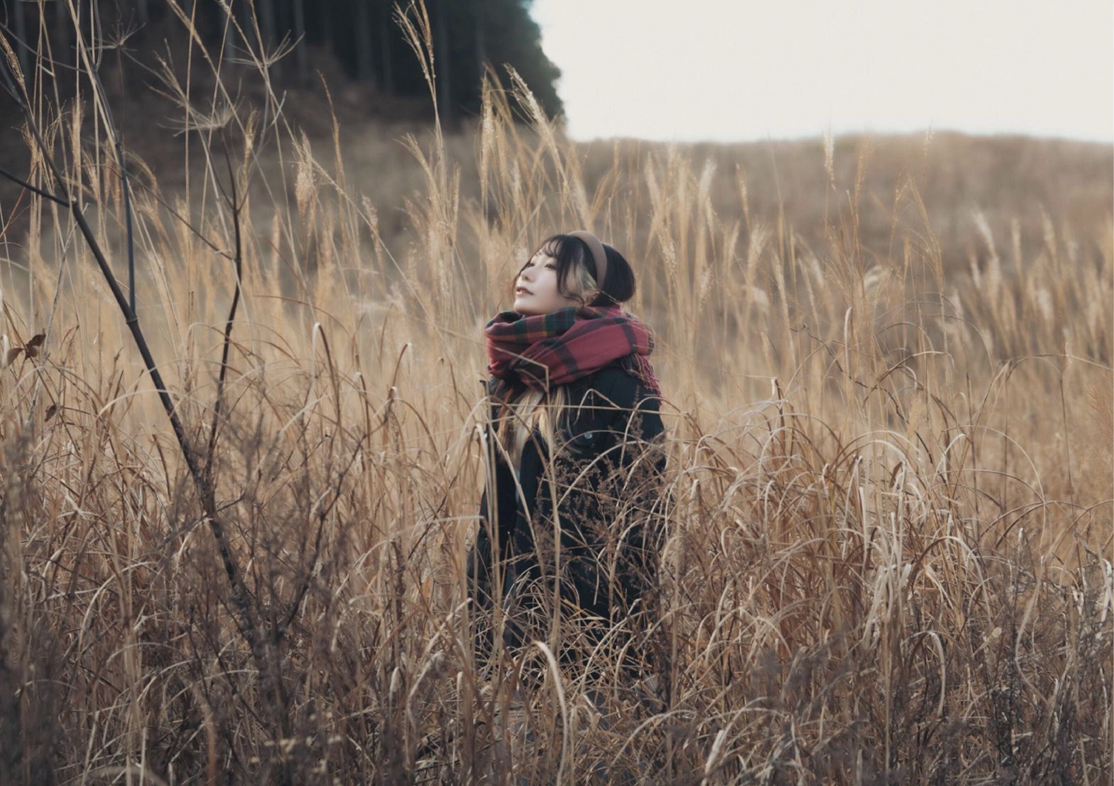 芽衣 - 芽ばえちゃう/(238P)