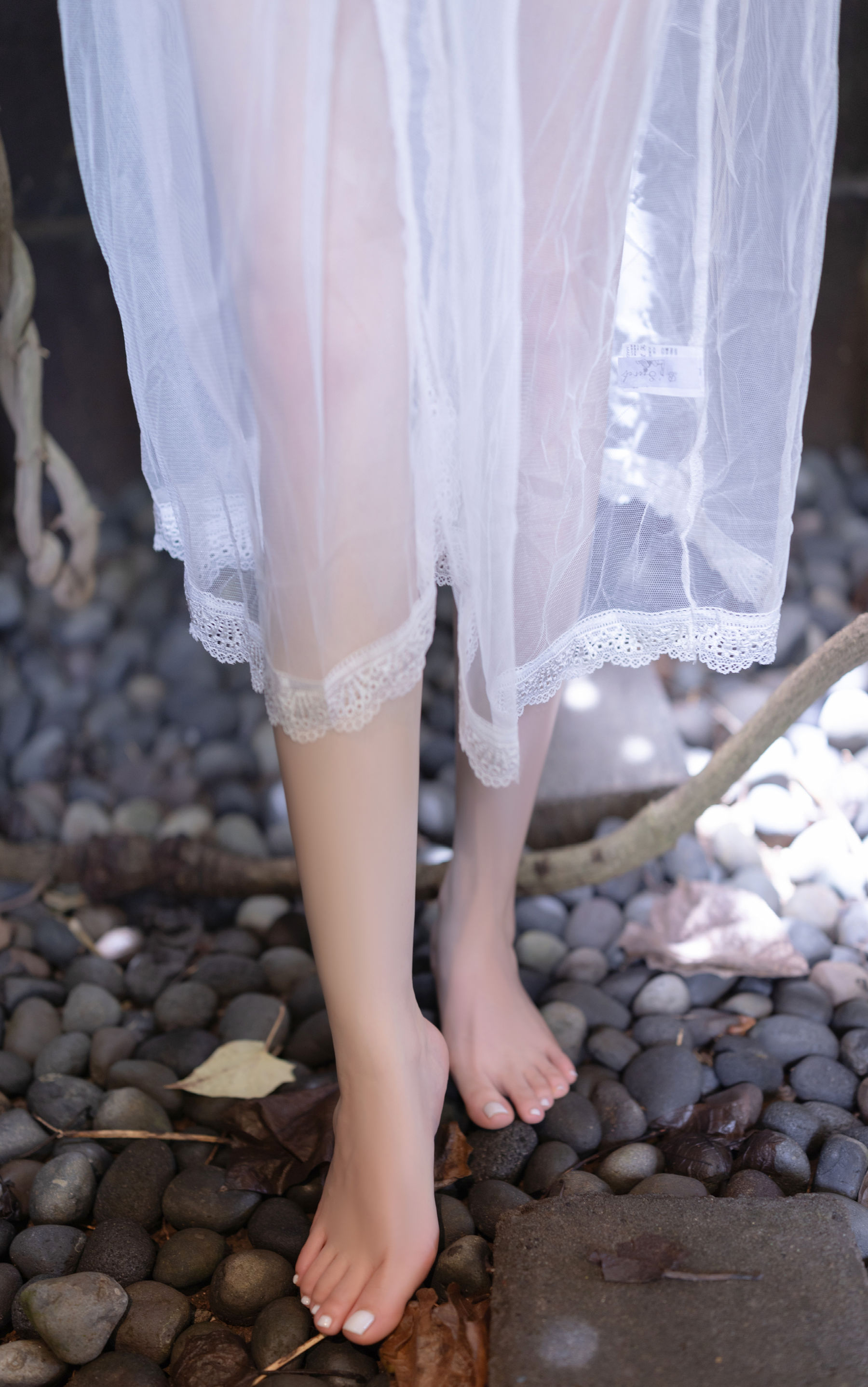 鱼子酱 - 夕颜/(120P)