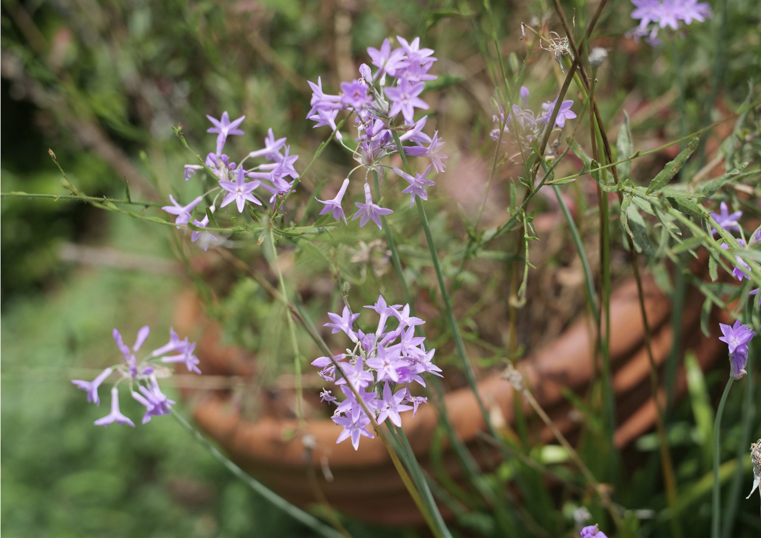 高宮まり&岡田紗佳 - 牌 x 牌 more/(45P)