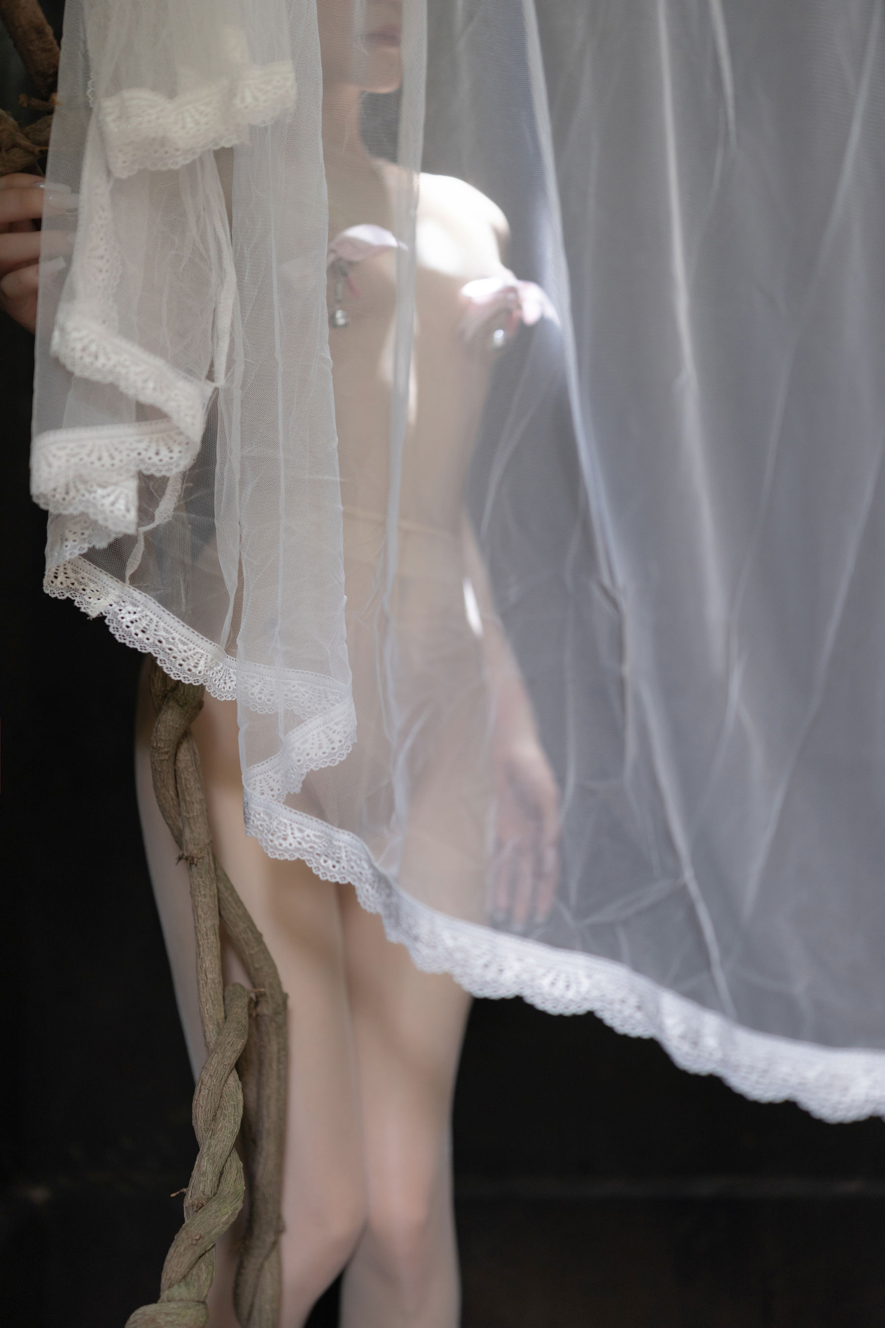 鱼子酱 - 夕颜/(120P)