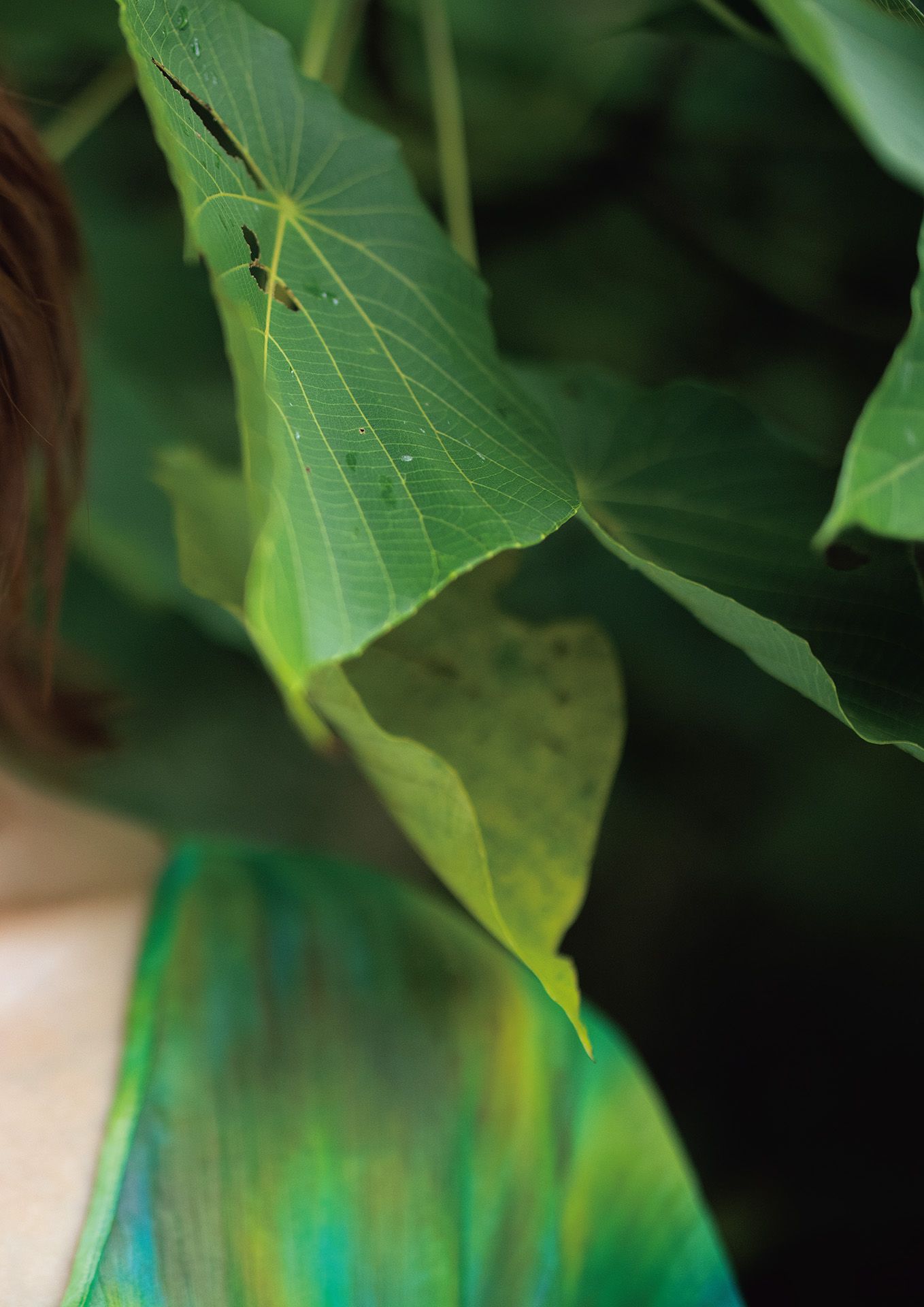 美乃すずめ - nymph/(58P)