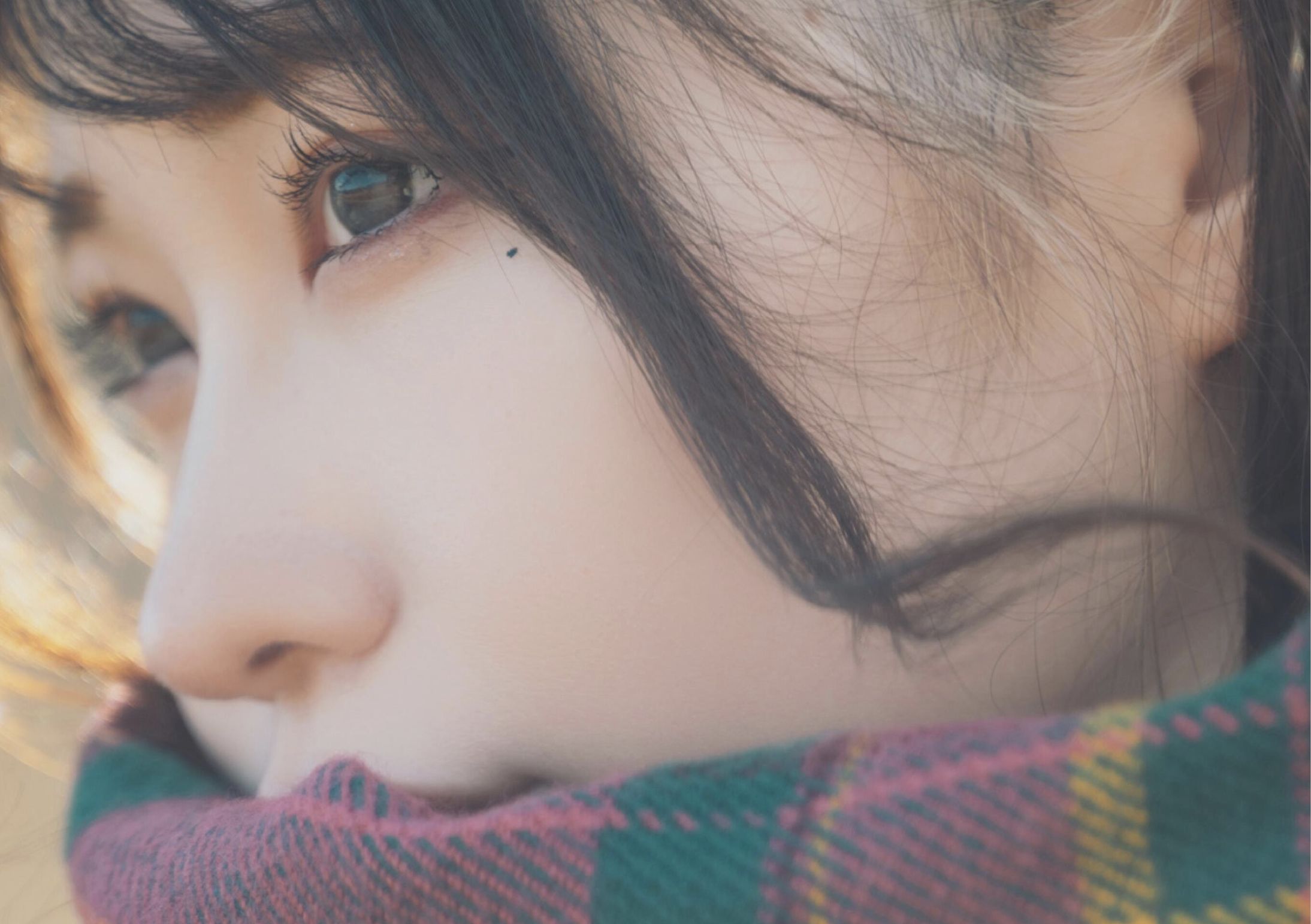 芽衣 - 芽ばえちゃう/(238P)