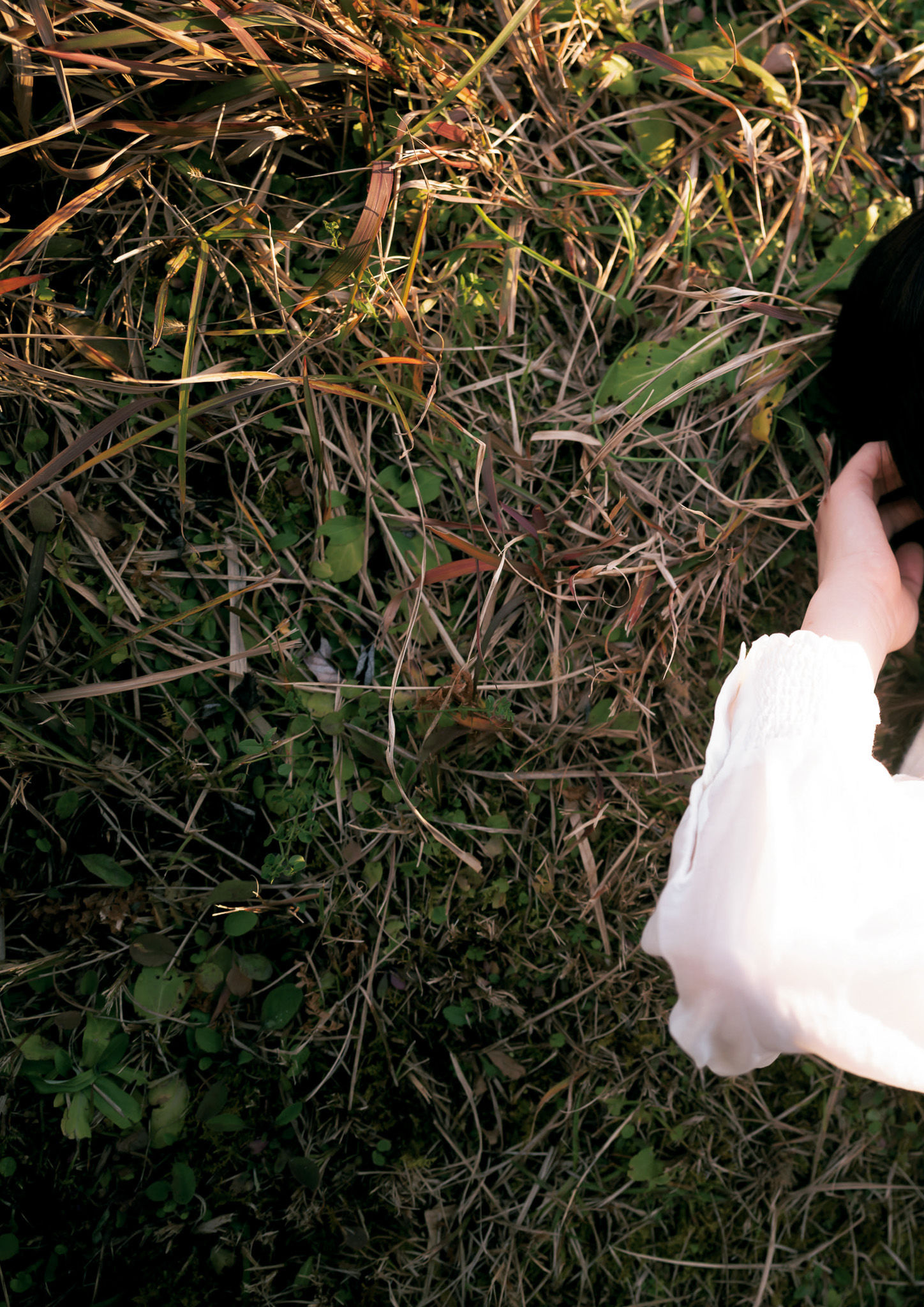 鈴原りこ - やわらかく、あたたかい/(148P)