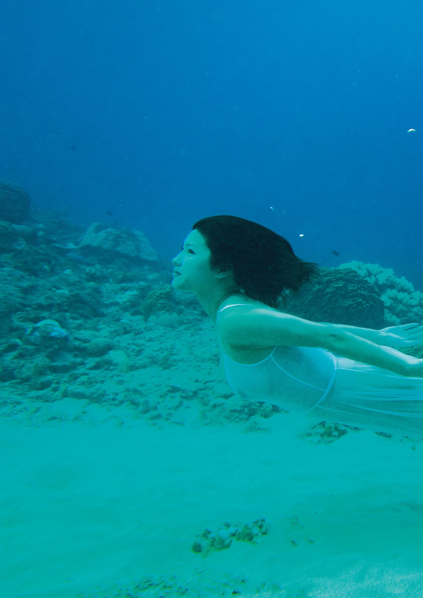 美乃すずめ - nymph/(58P)