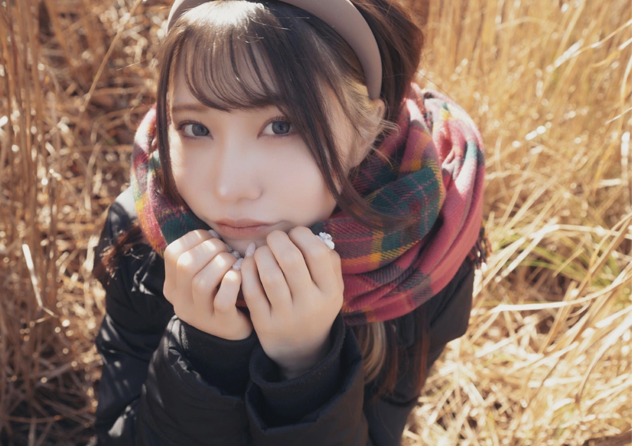 芽衣 - 芽ばえちゃう/(238P)