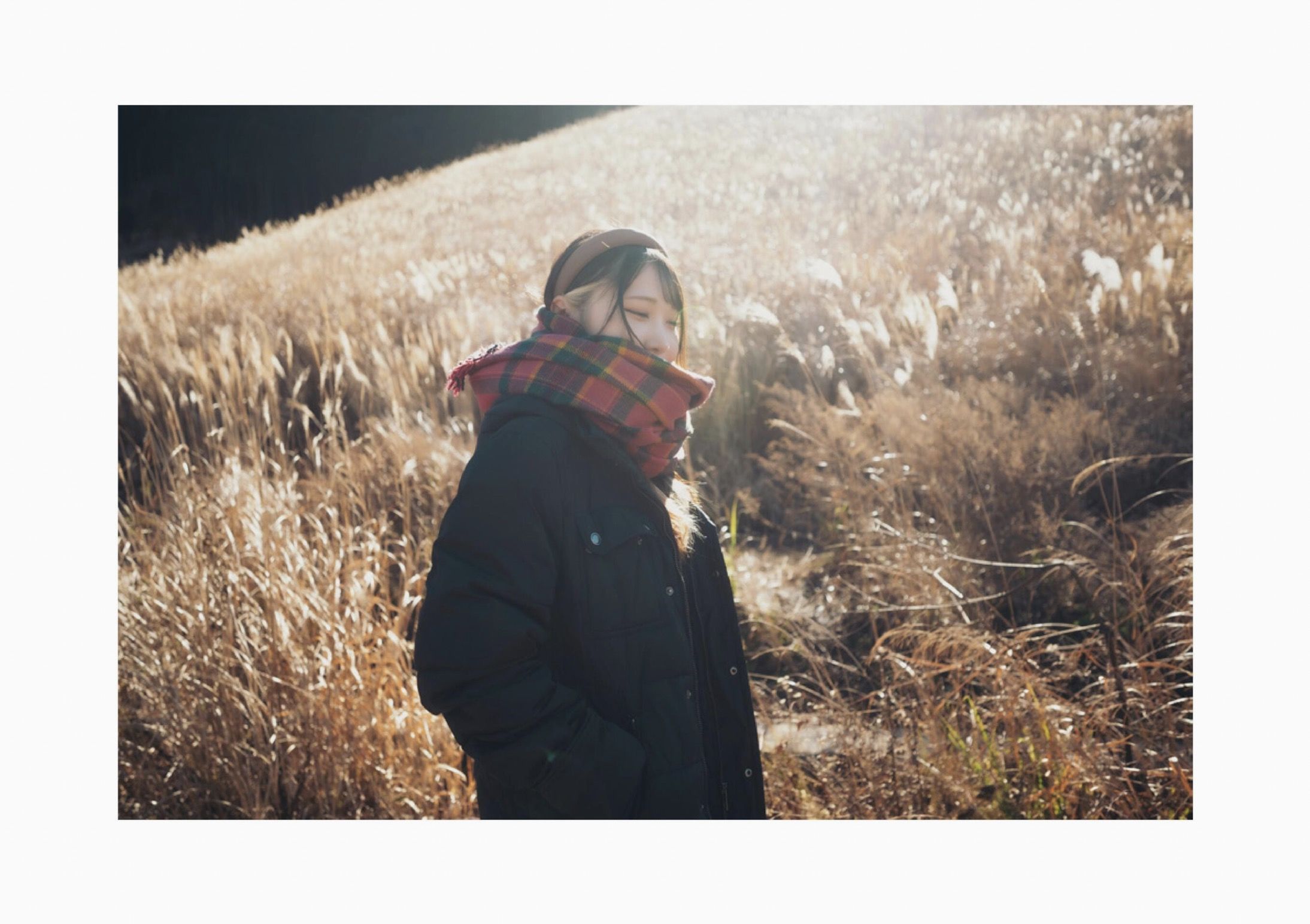 芽衣 - 芽ばえちゃう/(238P)