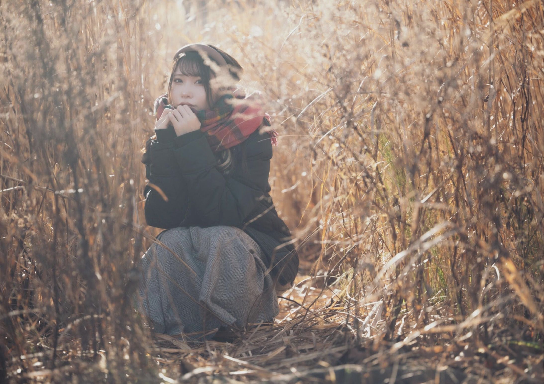 芽衣 - 芽ばえちゃう/(238P)