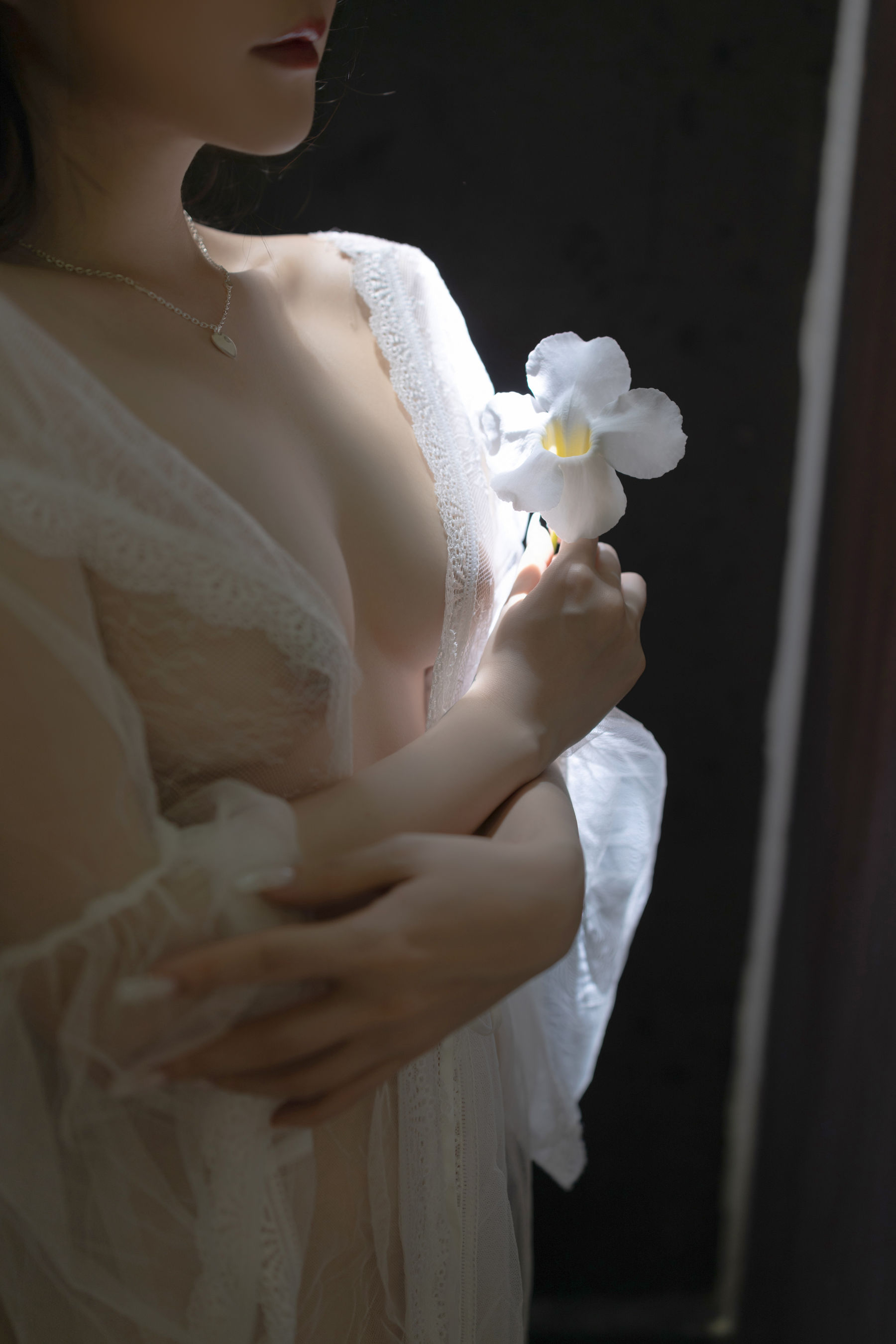 鱼子酱 - 夕颜/(120P)