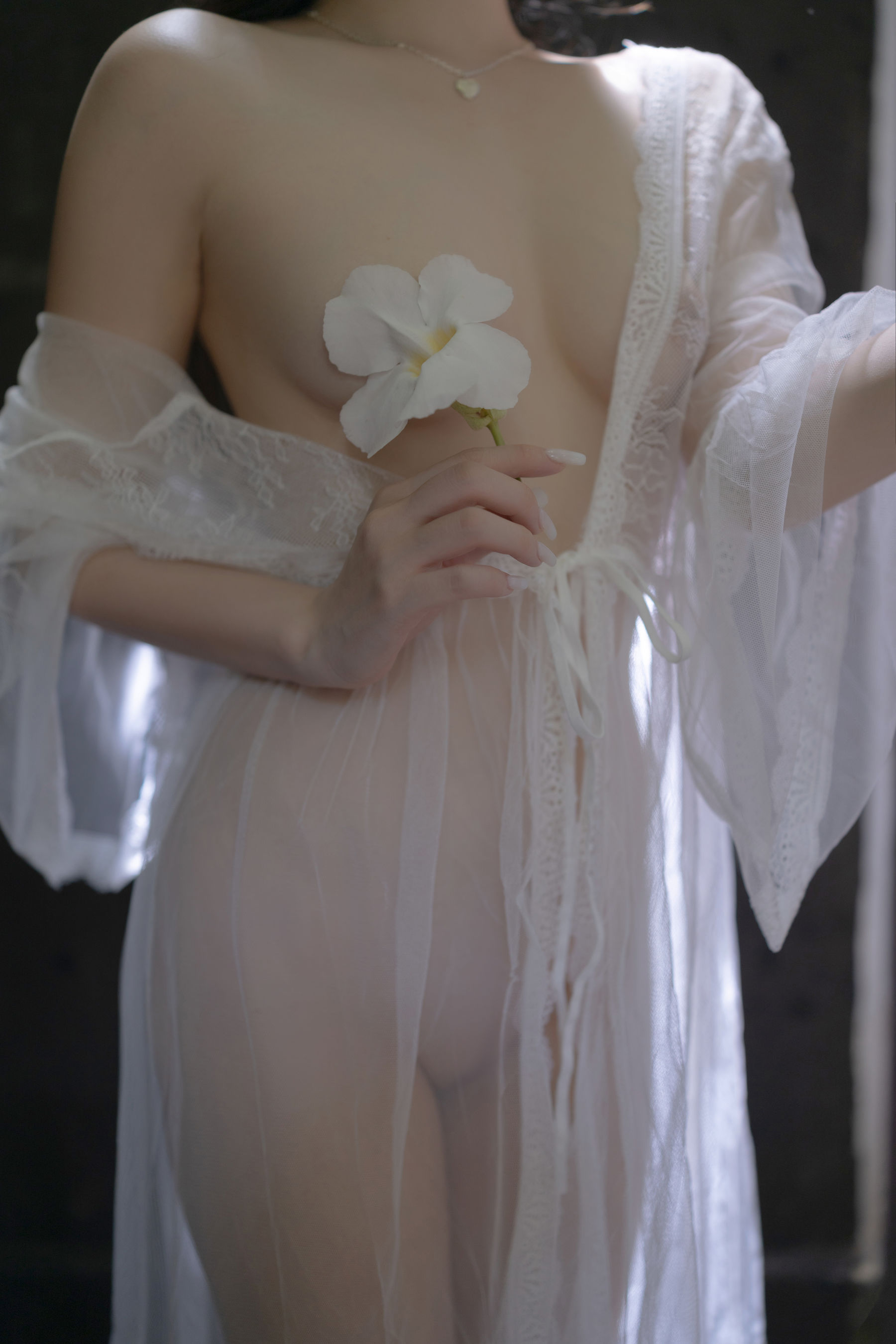 鱼子酱 - 夕颜/(120P)