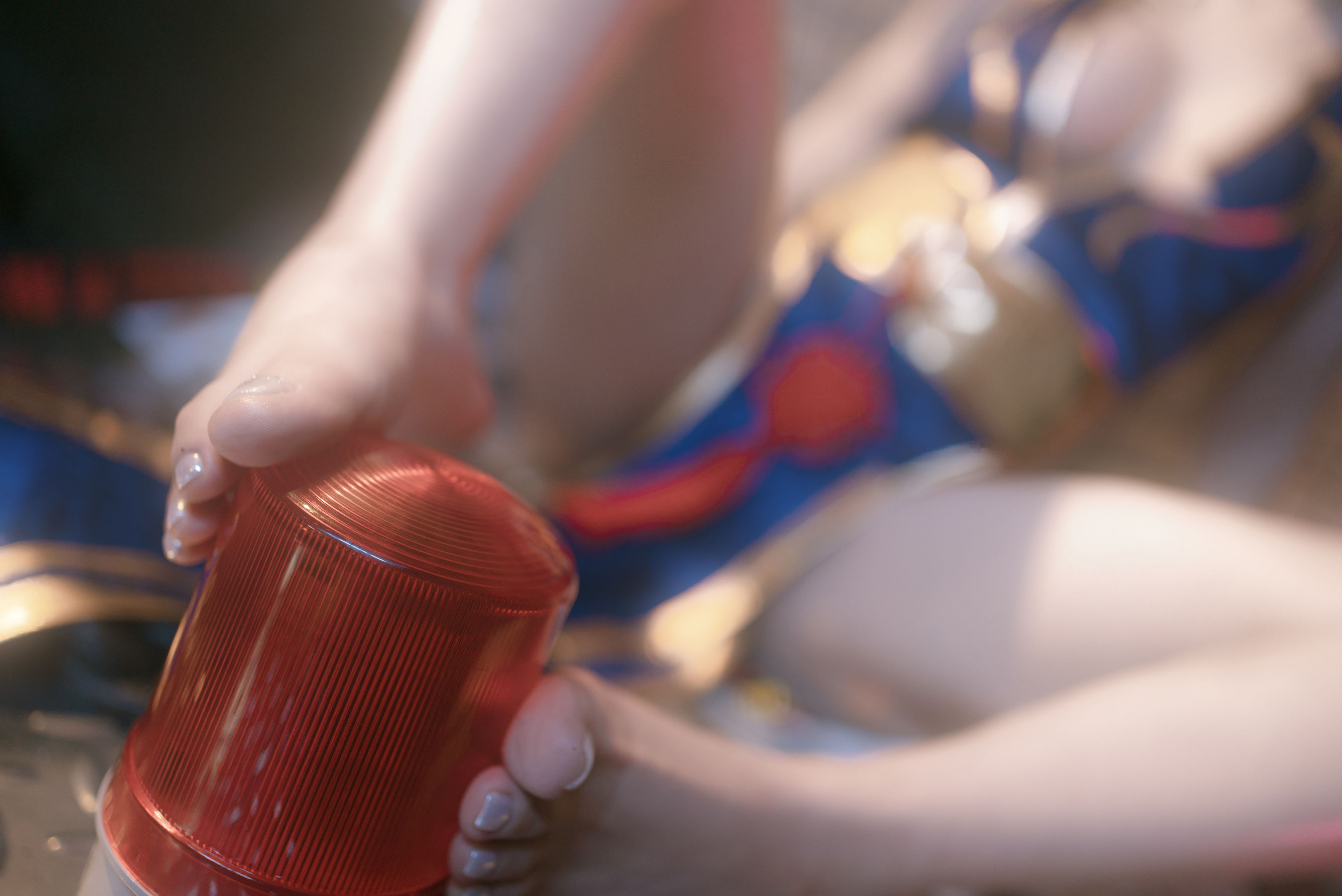 鹿八岁 - 春丽的格斗辅导/(90P)