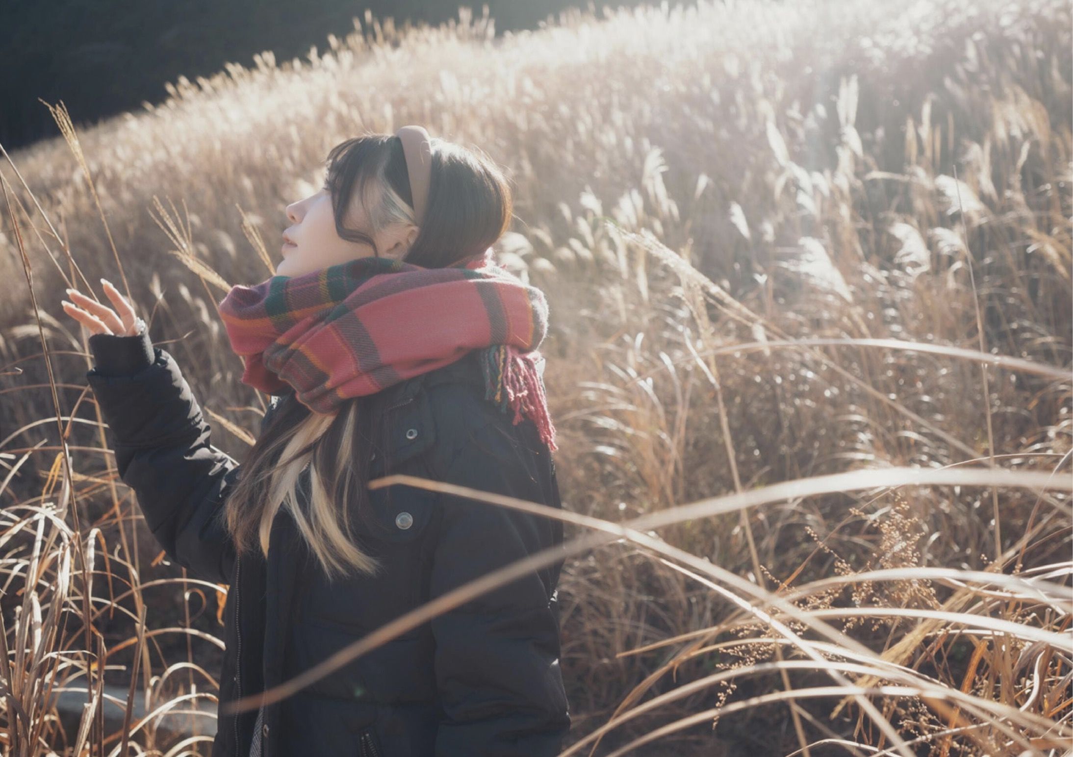 芽衣 - 芽ばえちゃう/(238P)