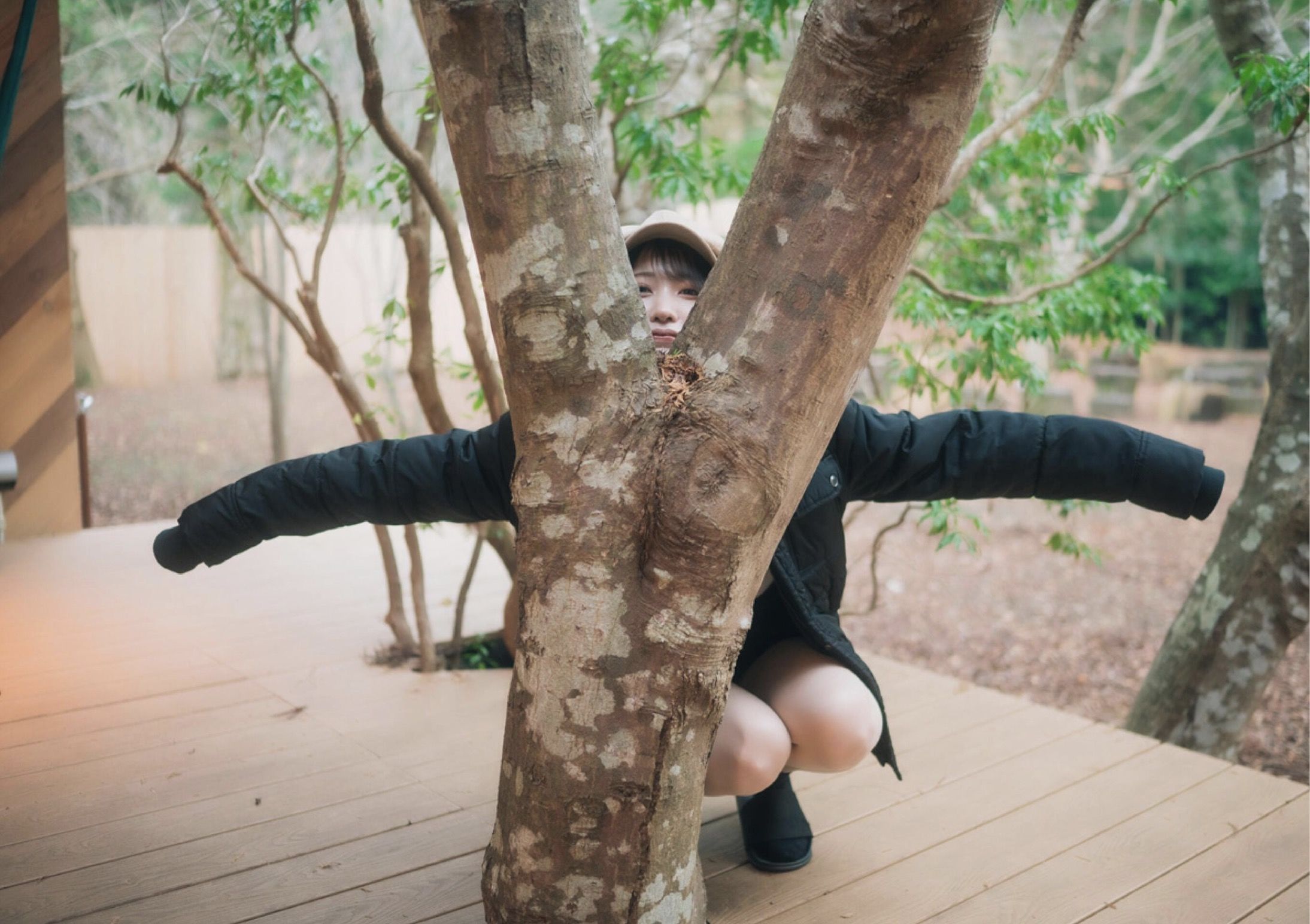 芽衣 - 芽ばえちゃう/(238P)