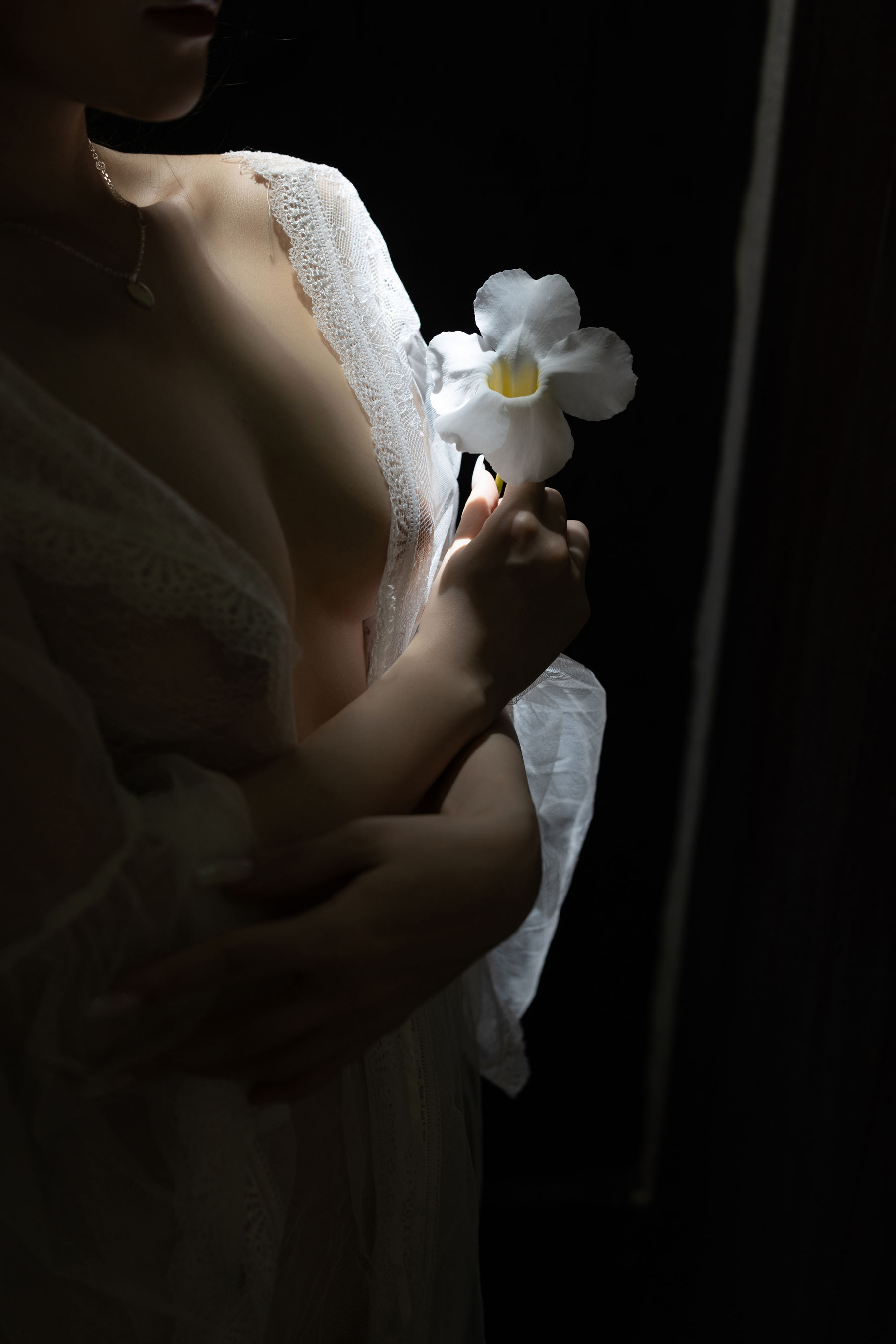 鱼子酱 - 夕颜/(120P)