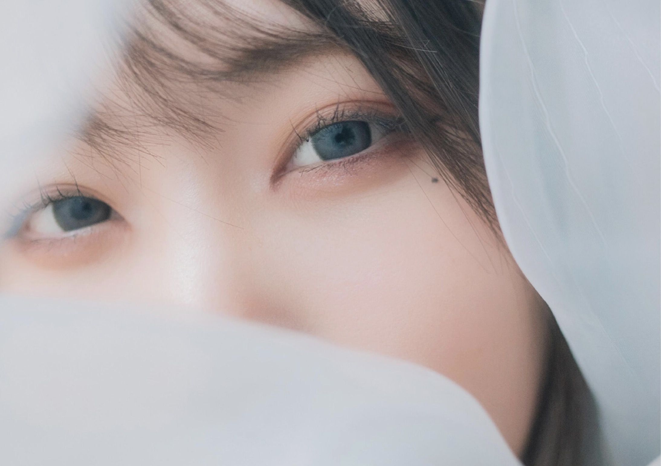 芽衣 - 芽ばえちゃう/(238P)