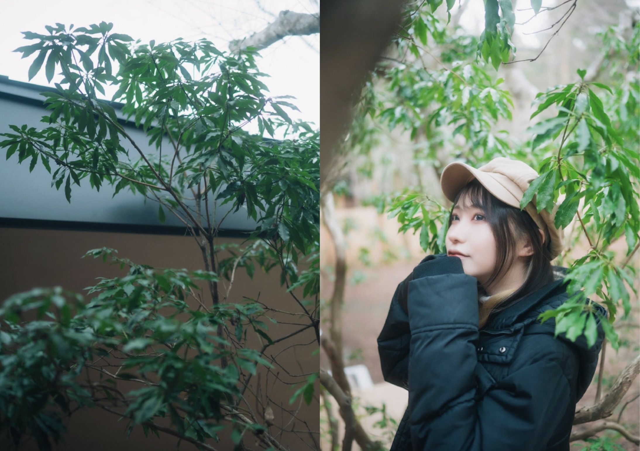 芽衣 - 芽ばえちゃう/(238P)